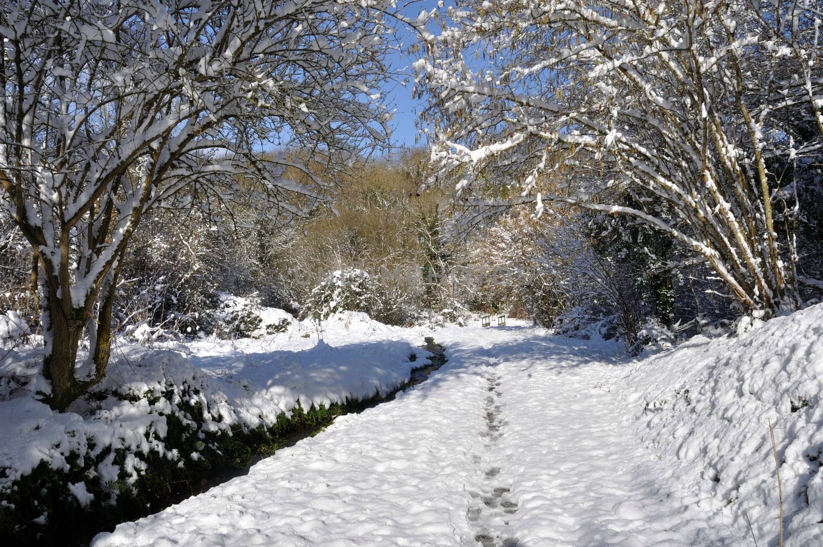 Path under the snow in Brittany