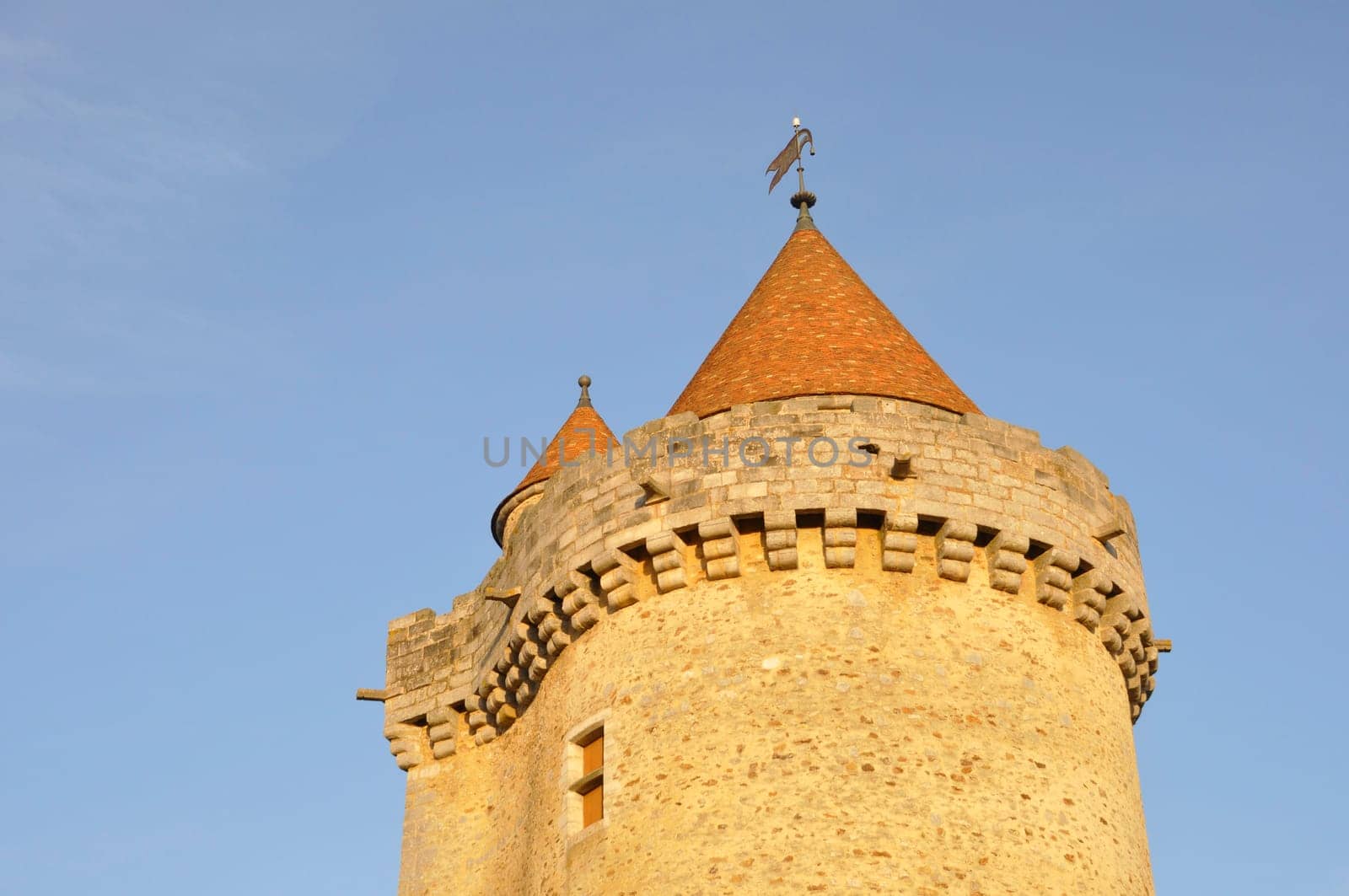 Castle of Blandy les Tours in Seine et Marne