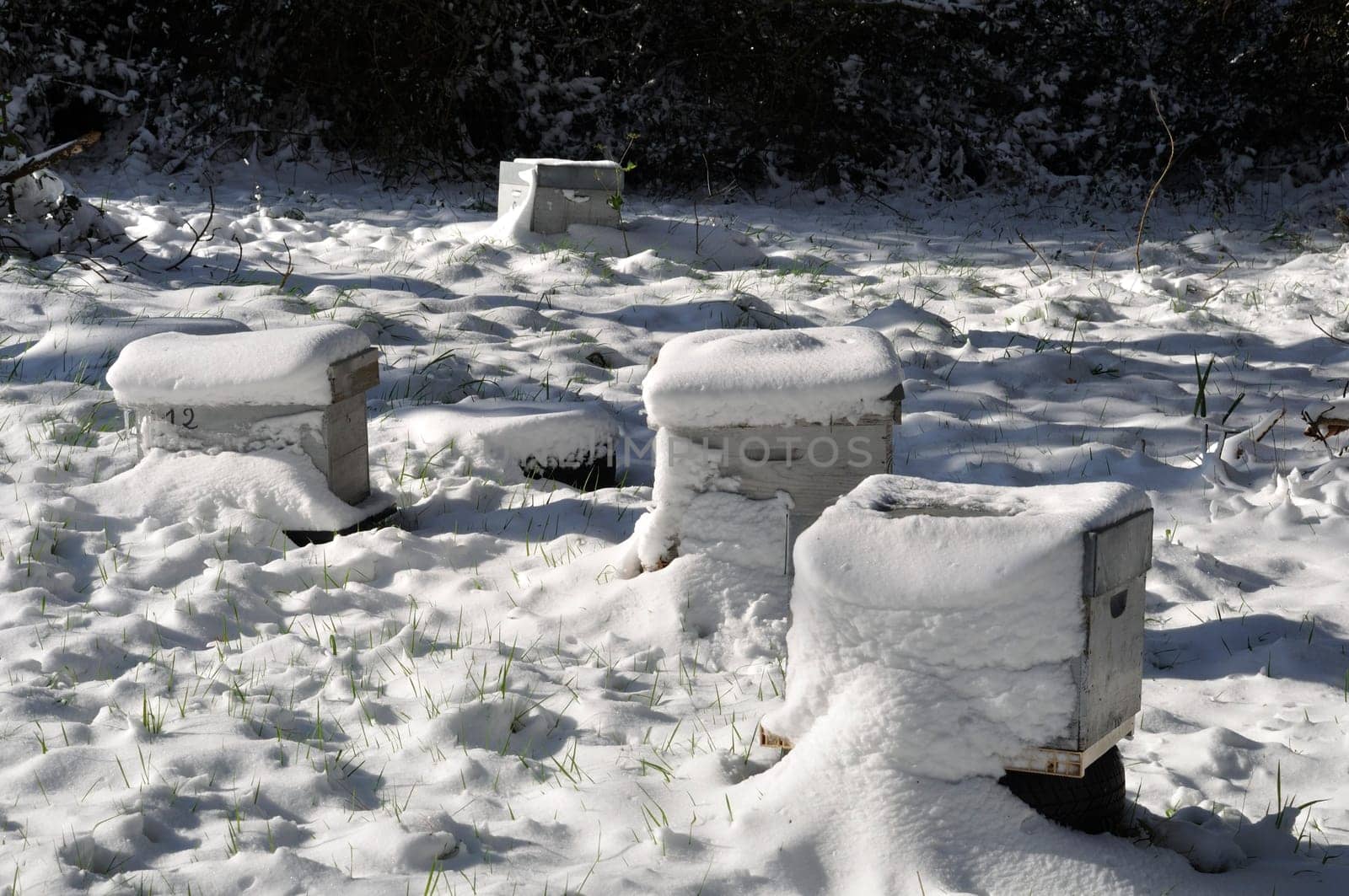 beehives in the snow in Brittany