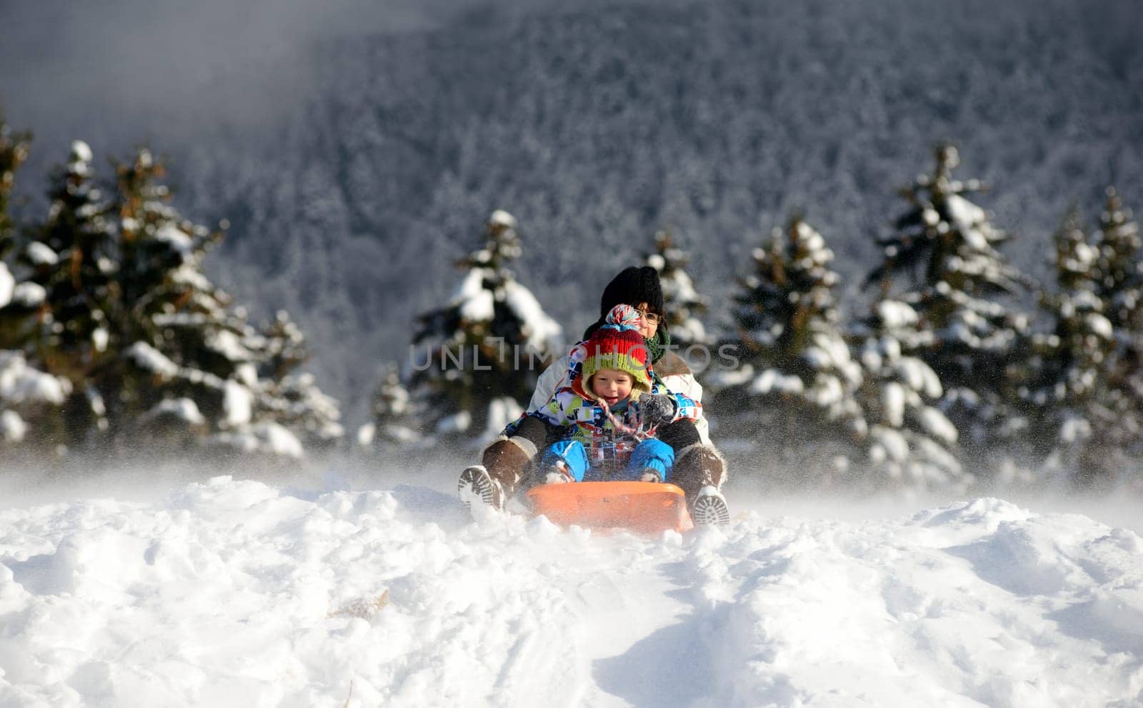 a little boy sledging in the snow with an adult