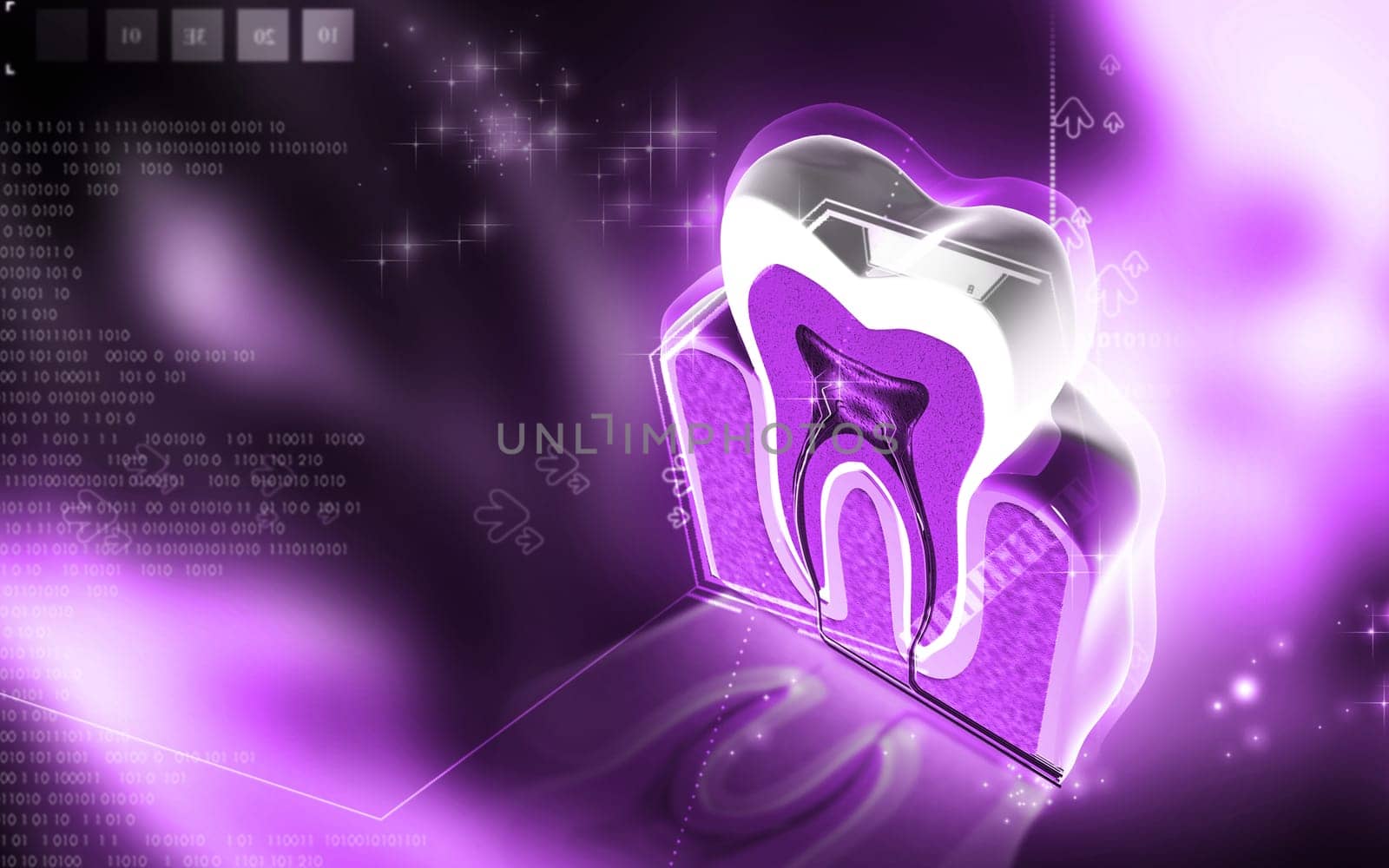 Digital illustration of teeth cross section in colour background