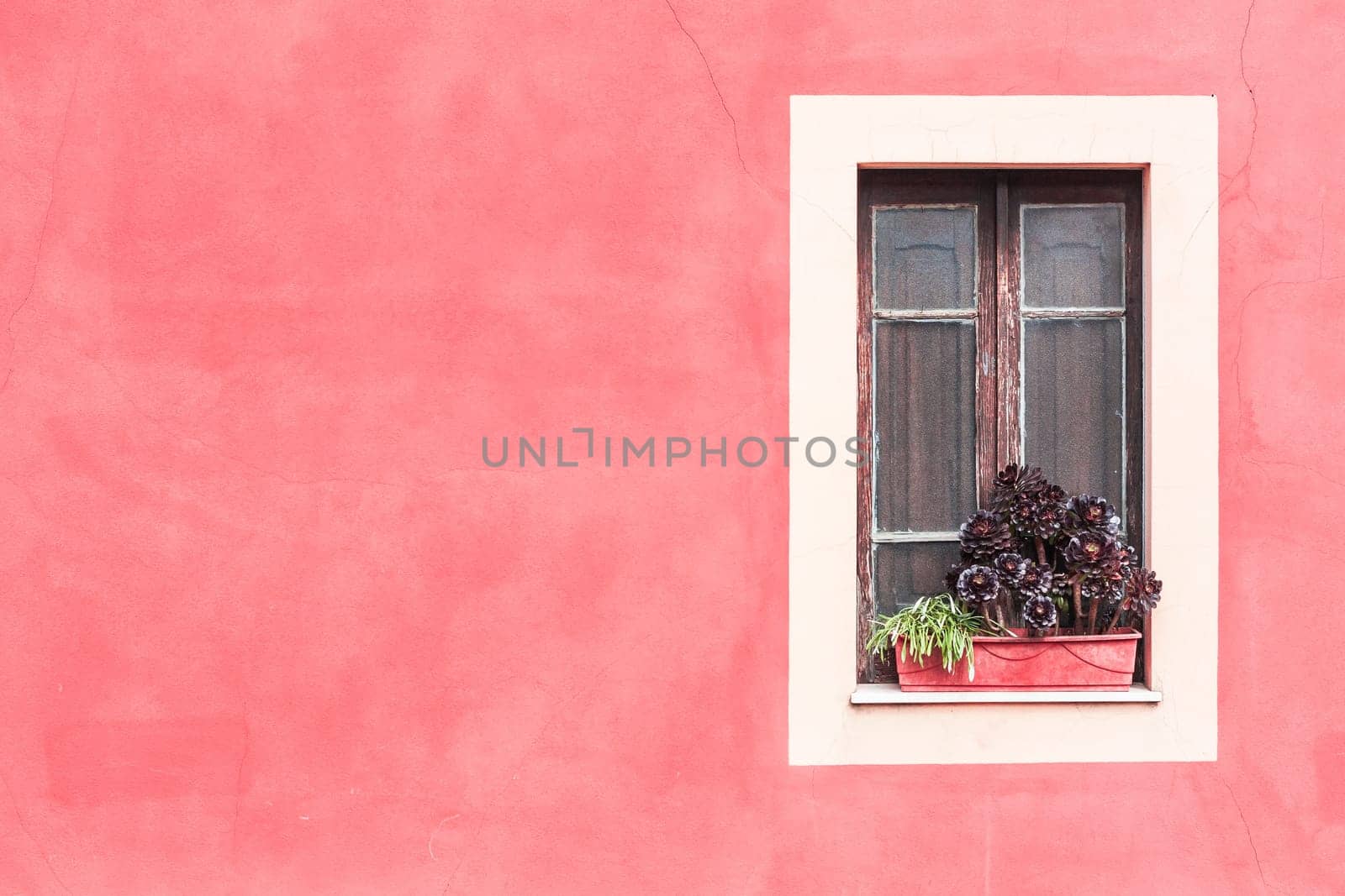 Closed window with planter  and red wall.