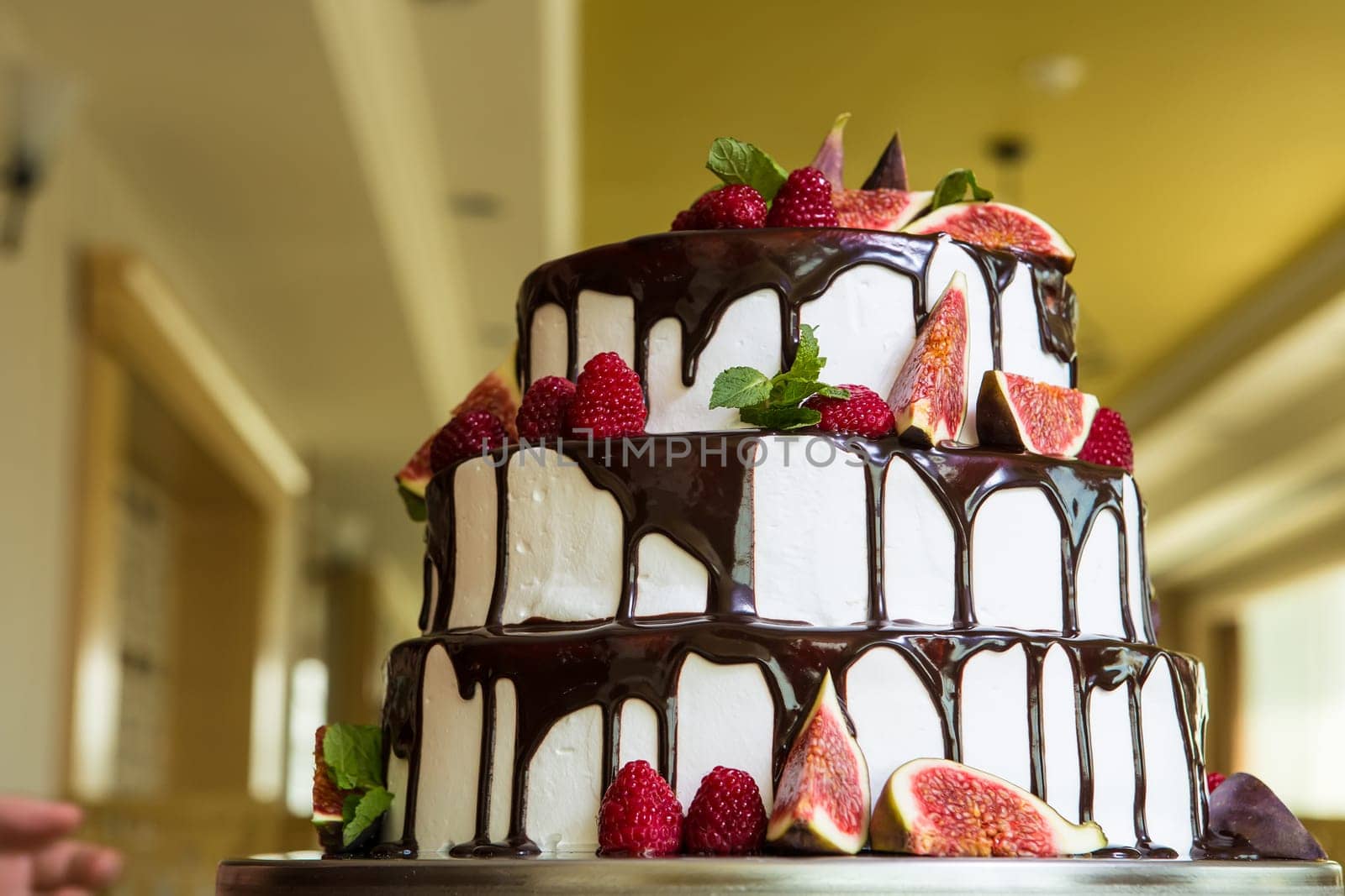 Chocolate cake with figs and raspberries close-up