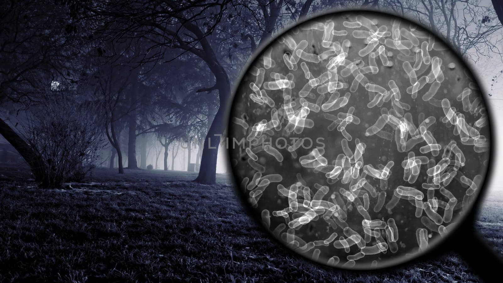 Searching for bacteria in the air,Searching for bacteria in the air