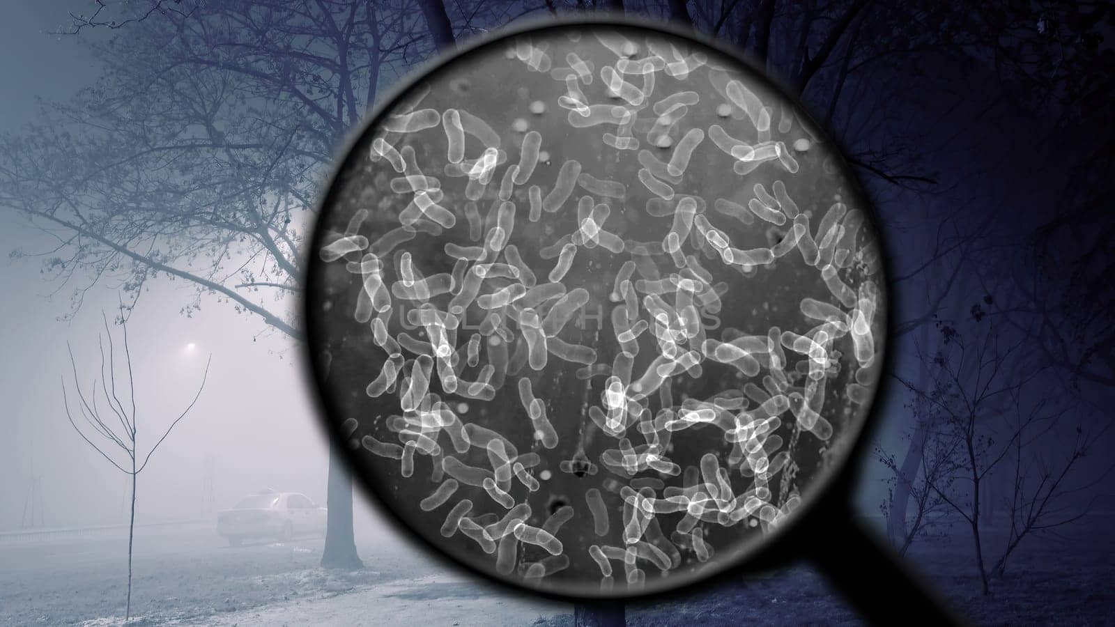 Searching for bacteria in the air,Searching for bacteria in the air