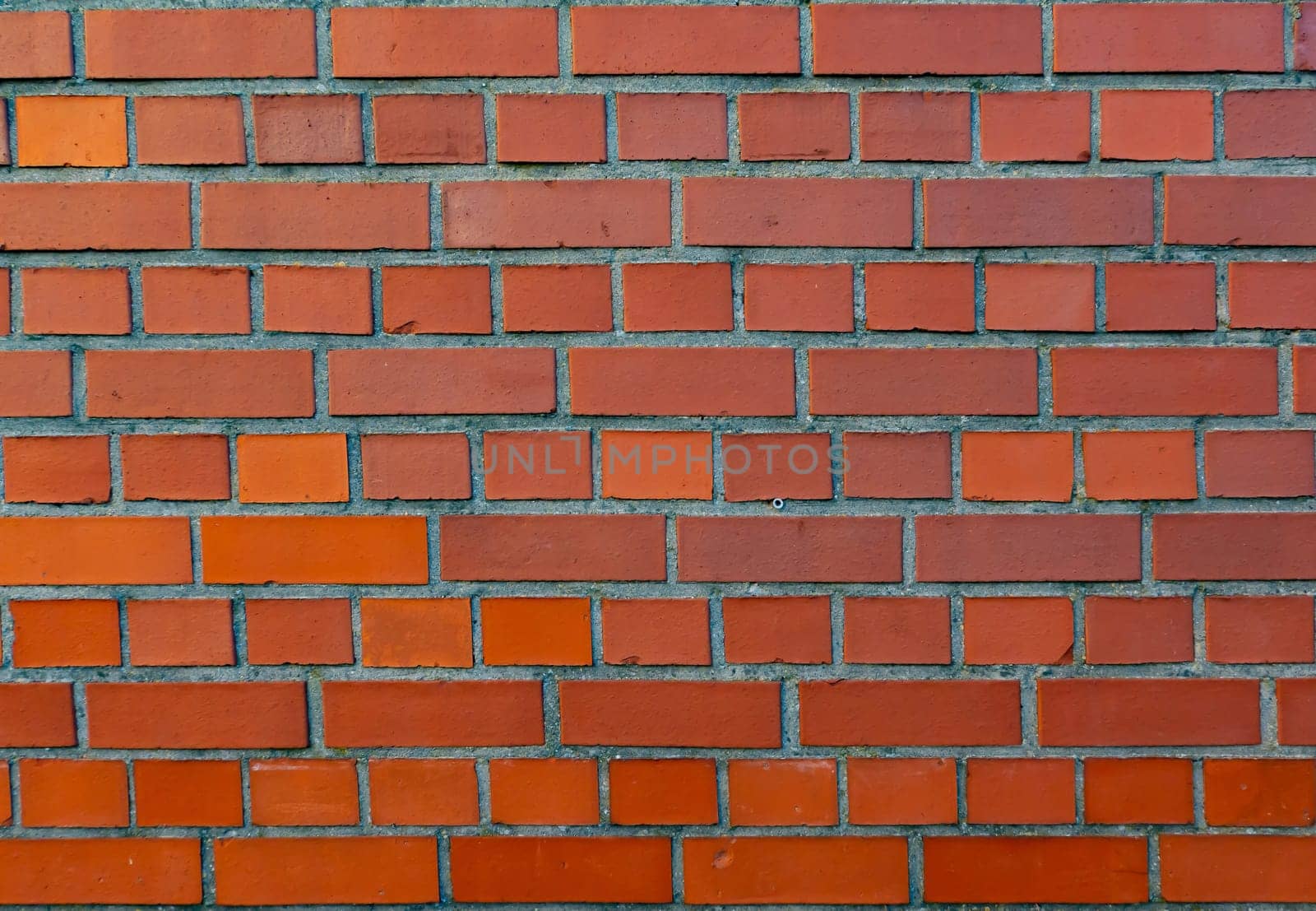 Red Brick Wall full frame in detail