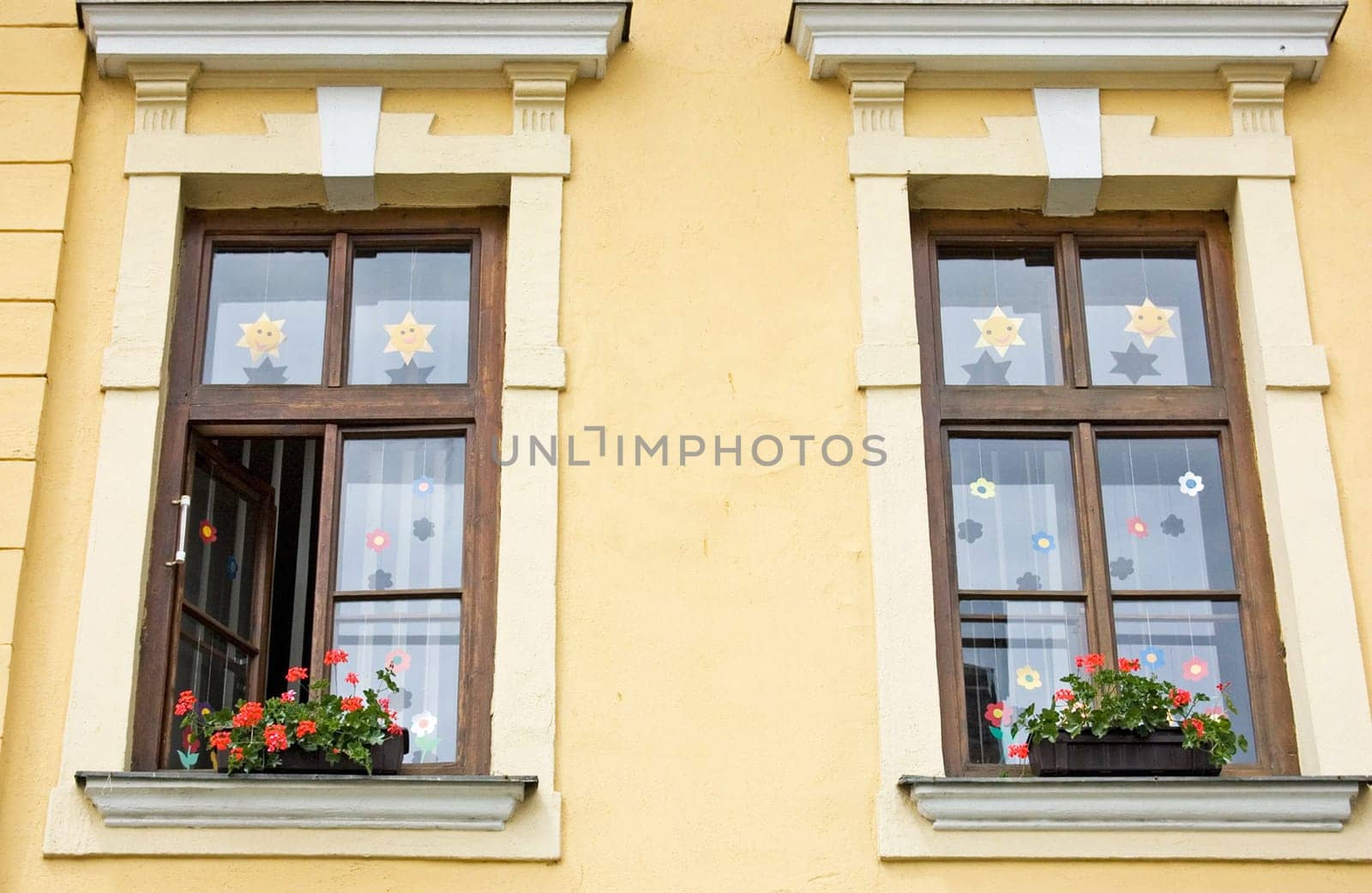 House windows with flowers
