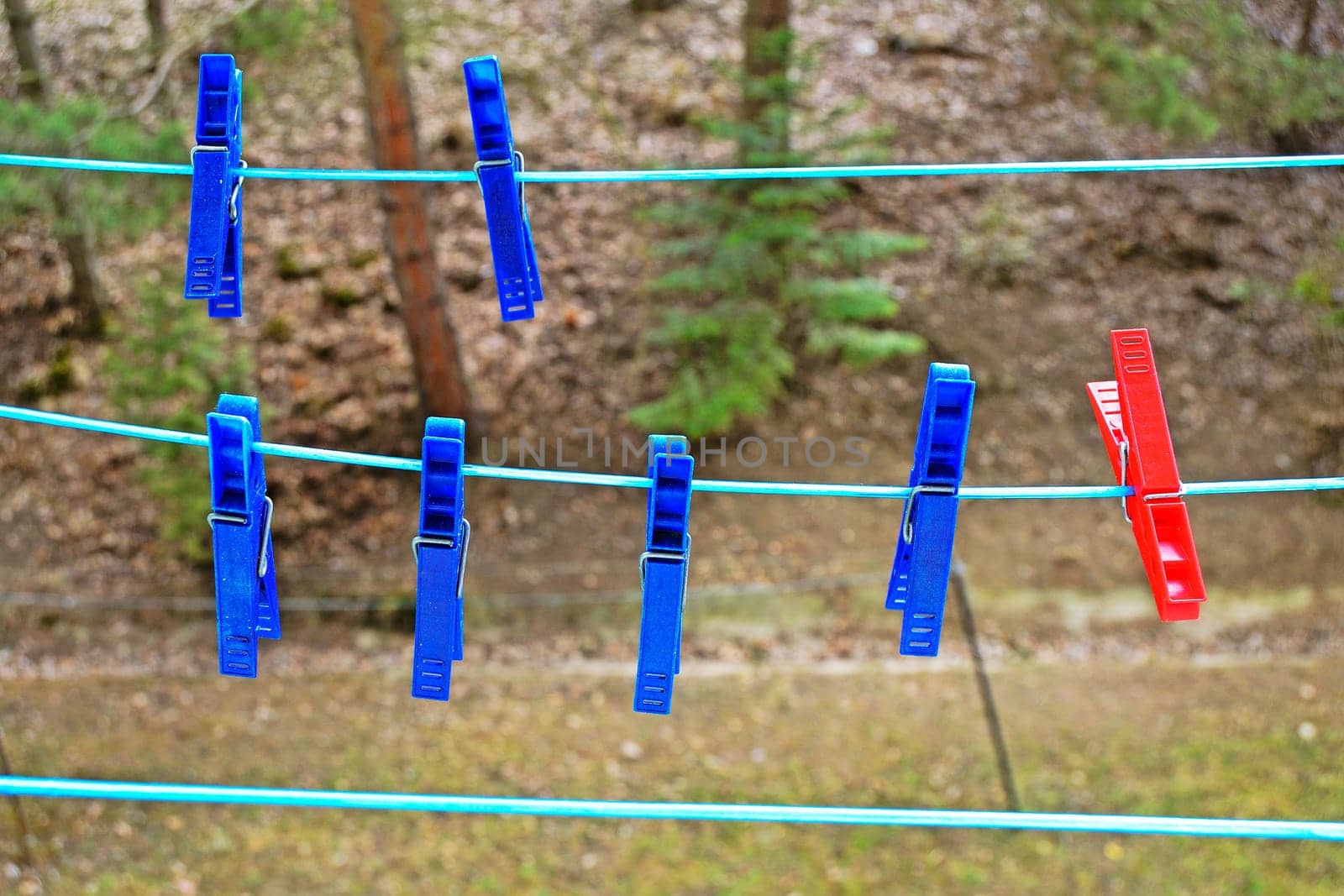 Clothespin in the summer
