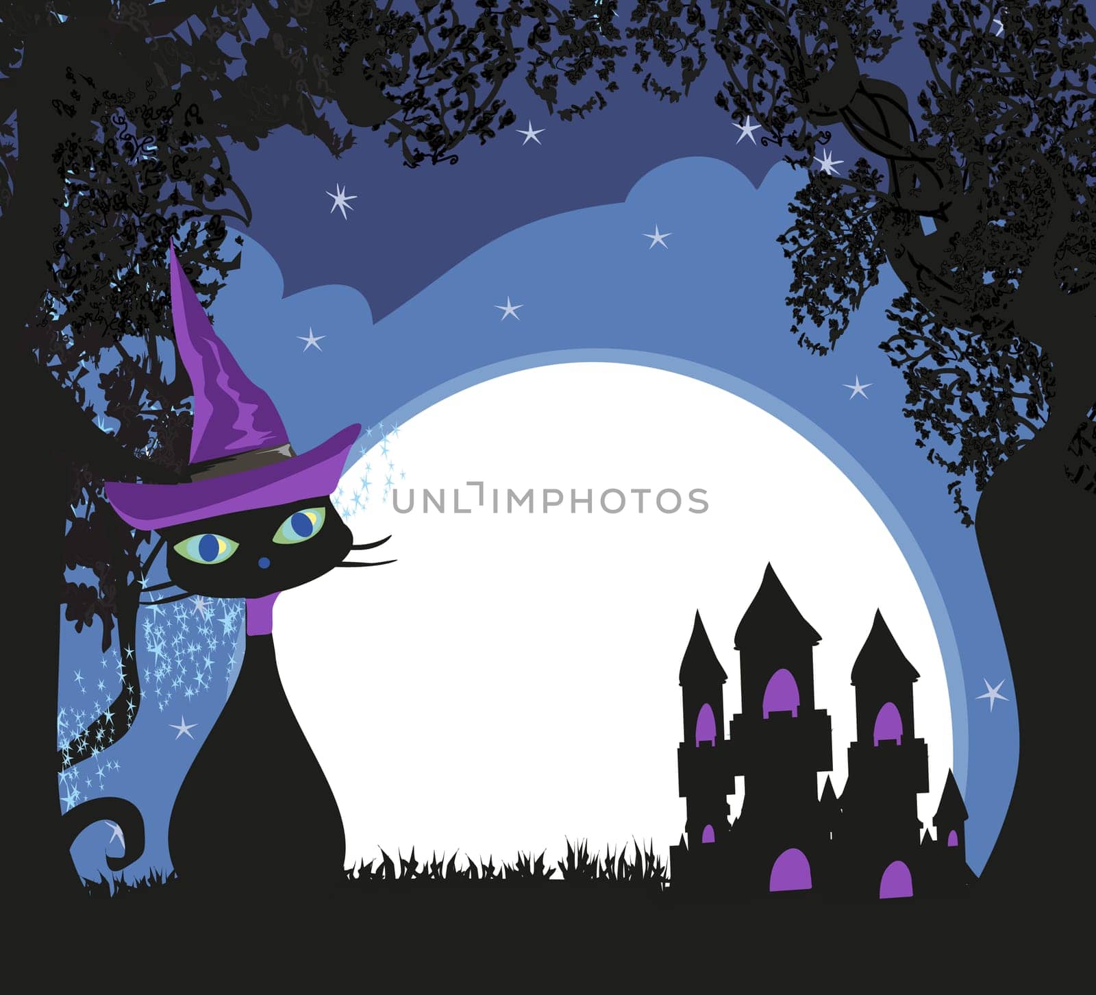 Halloween witch cat
