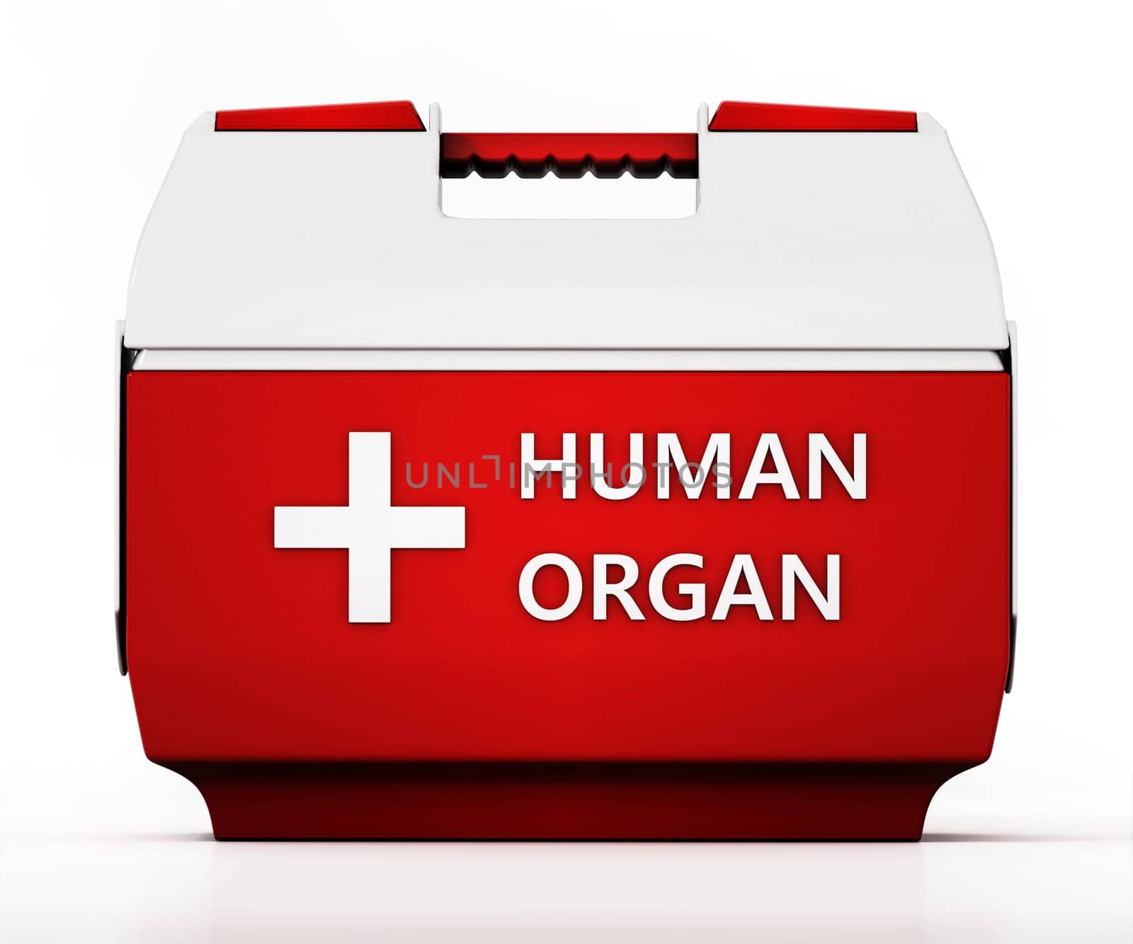 Human organ transport box isolated on white background. 3D illustration.