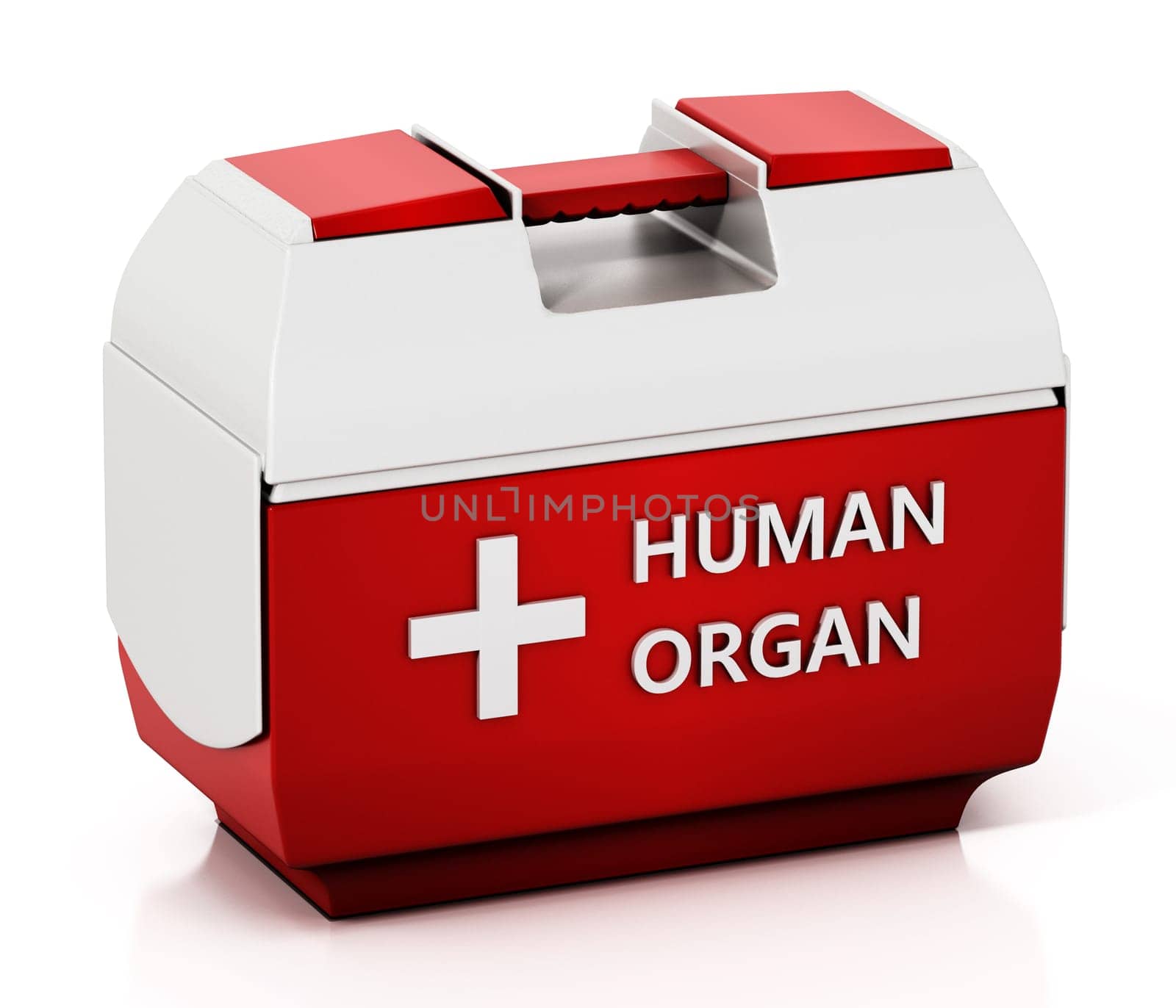Human organ transport box isolated on white background. 3D illustration.