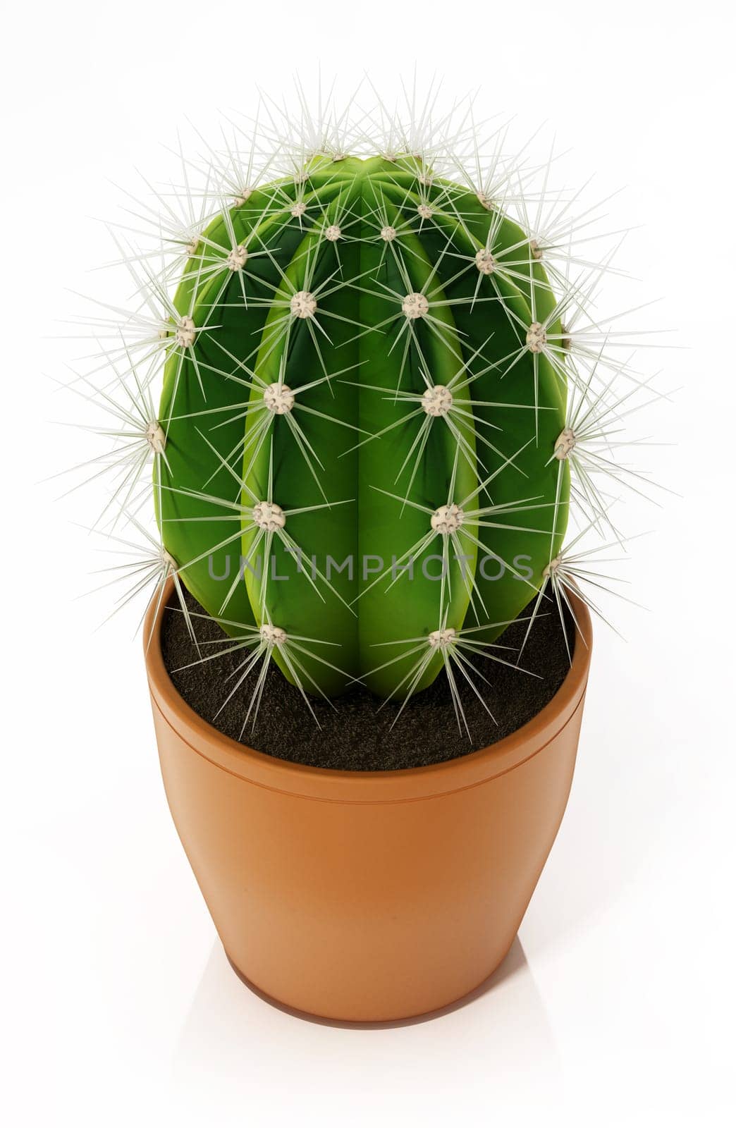 Decorative cactus in flower pot isolated on white background. 3D illustration.