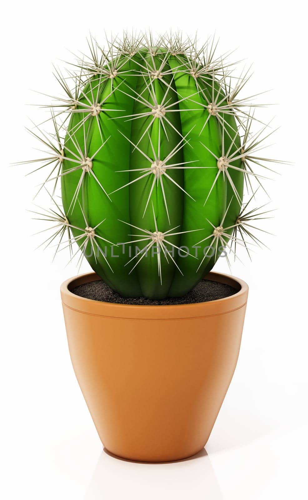 Decorative cactus in flower pot isolated on white background. 3D illustration.