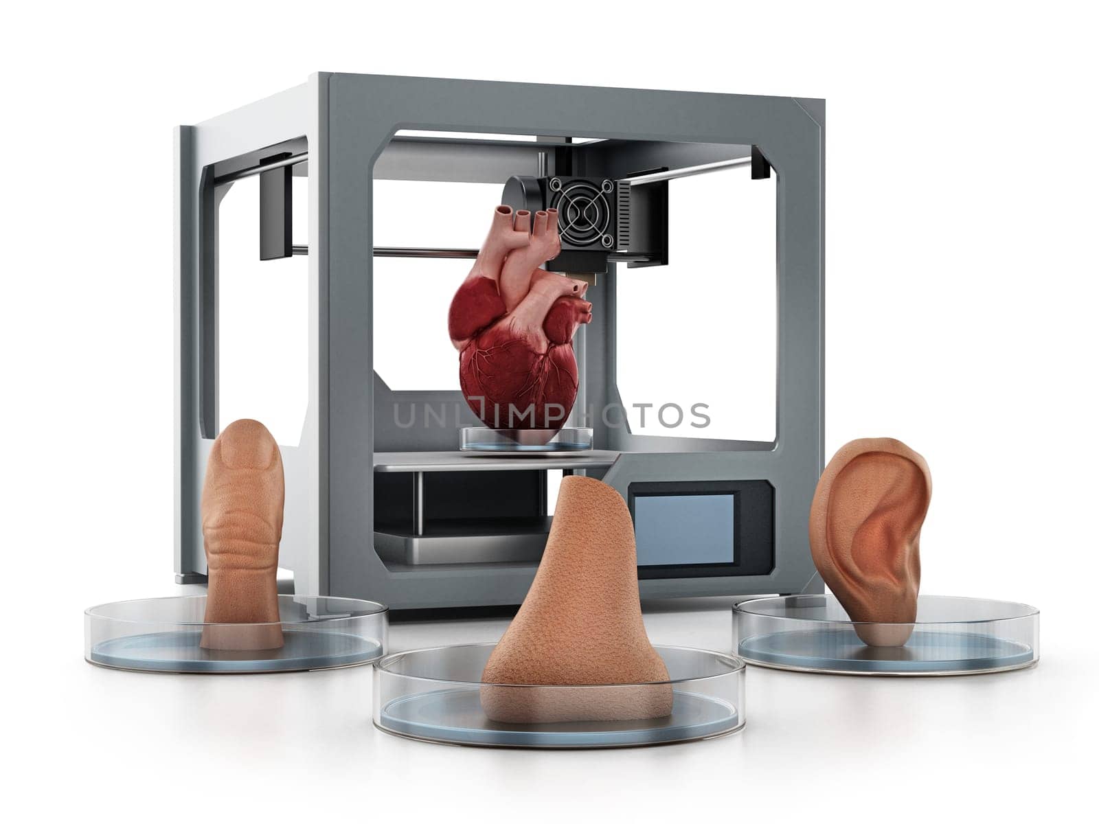 Medical 3D printer and printed human organs isolated on white background. 3D illustration.