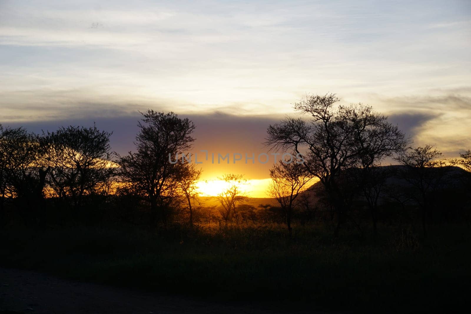 Beautiful sunset from the campsite in the Serengeti, Tanzania 2021
