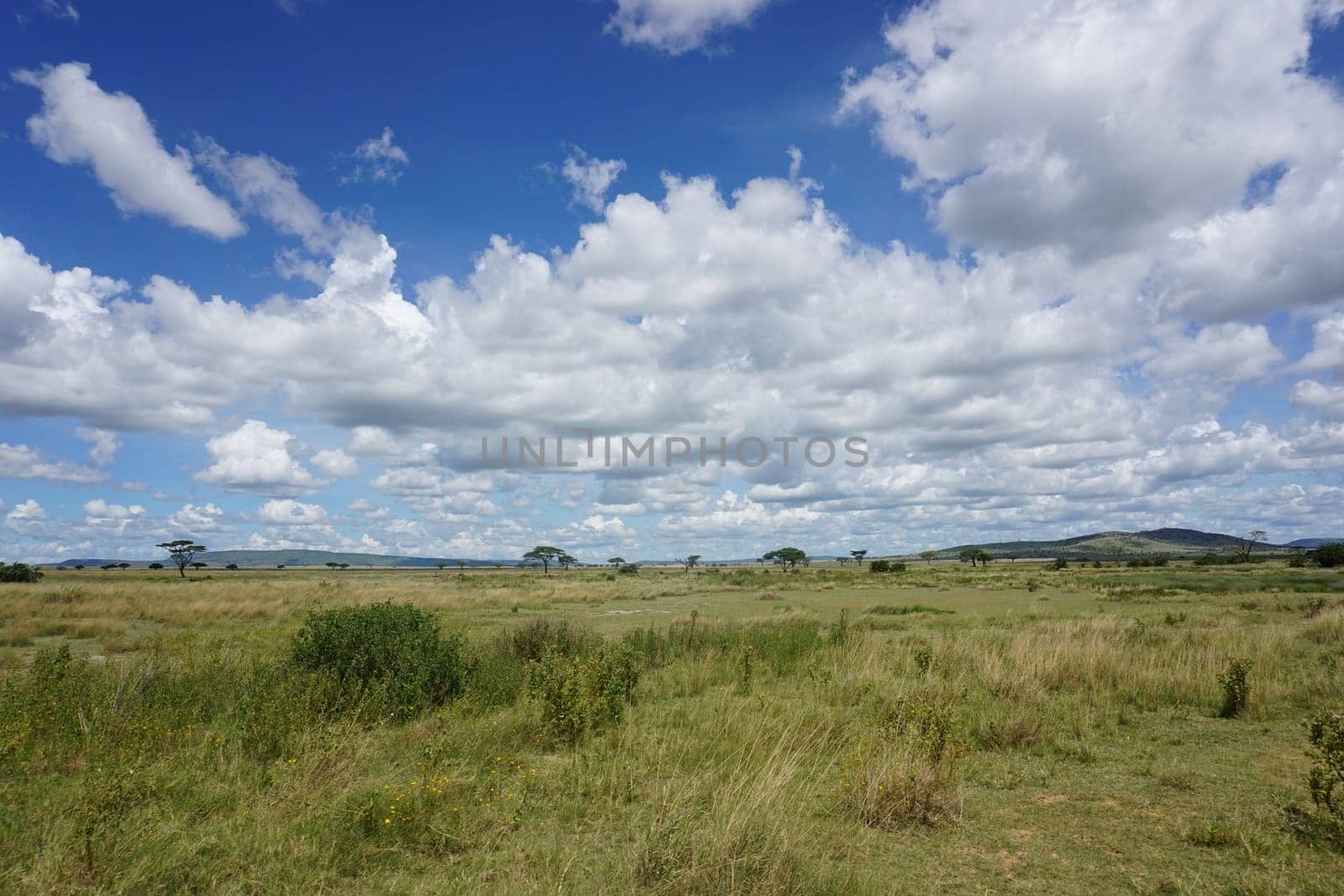 Breathtaking landscape in the Serengeti National Park, Tanzania 2021