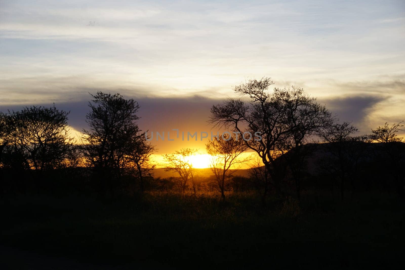 Sunset at our camp in the Serengeti National Park, Tanzania 2021