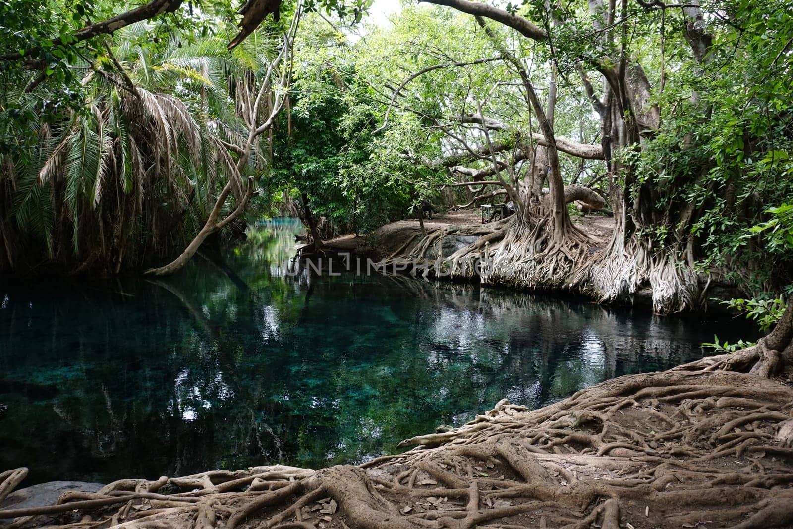 The beautiful Kikuletwa hot springs close to Moshi, Tanzania 2021