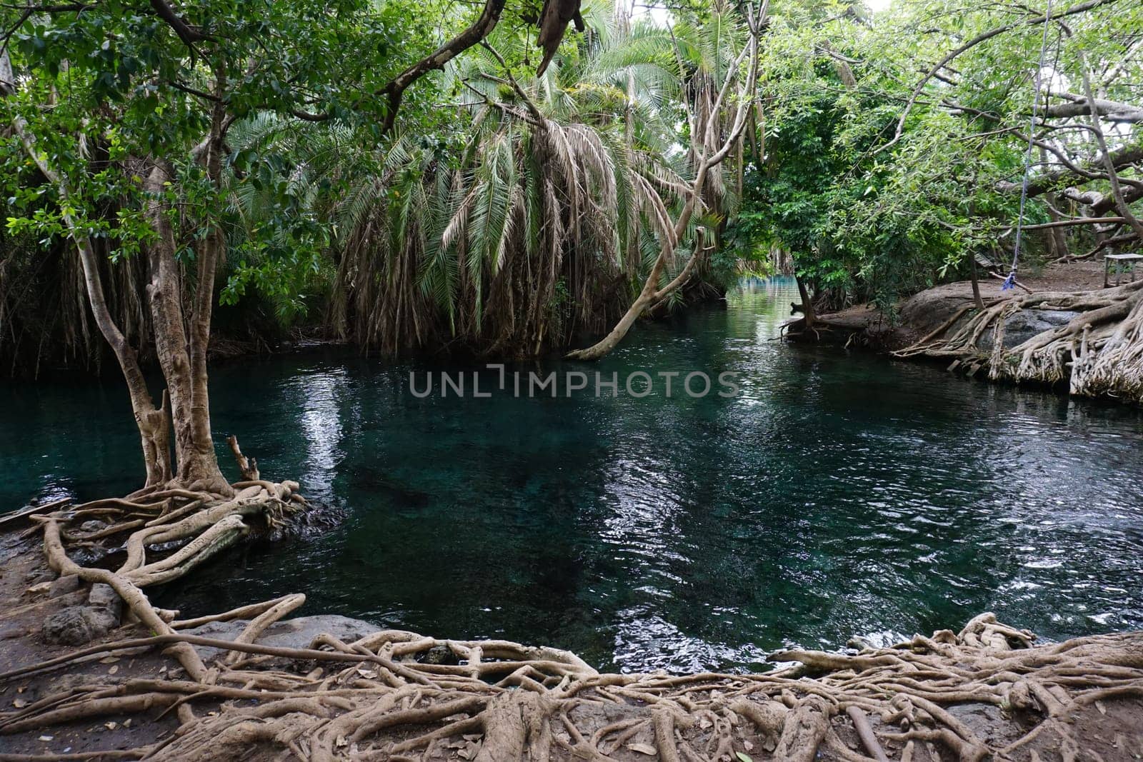 The Kikuletwa hot springs close to Moshi, Tanzania 2021