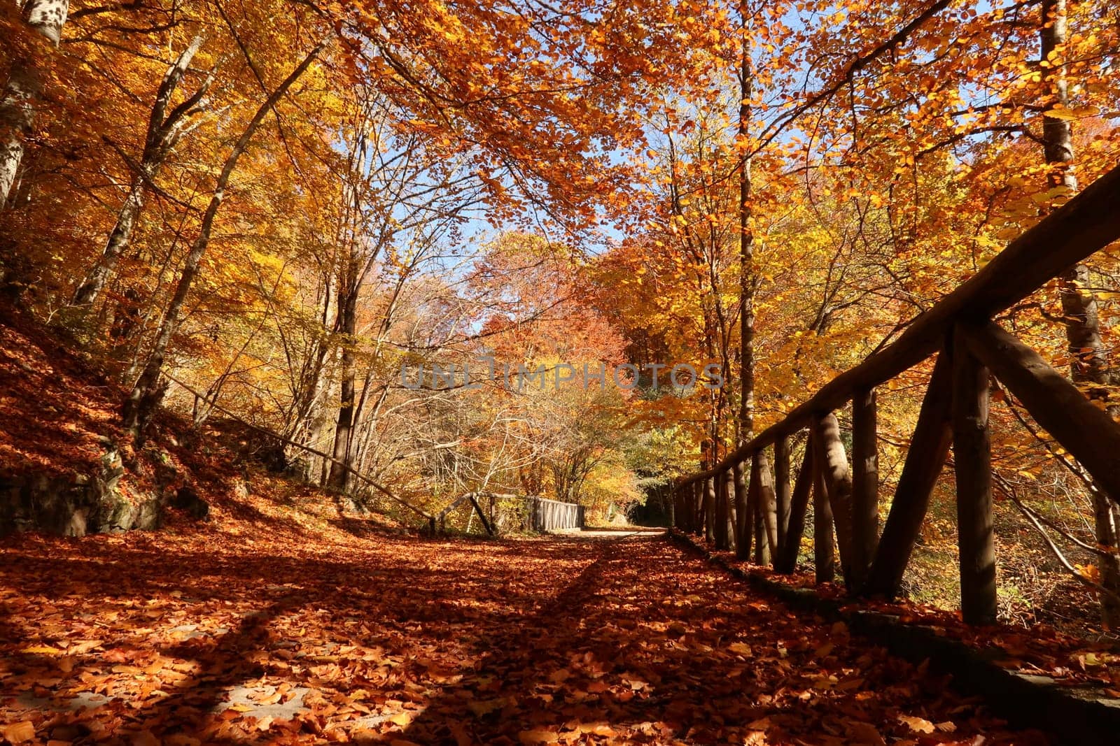 View onto picturesque bridge in the woods around Rila Monastery in autumn, Bulgaria 2021