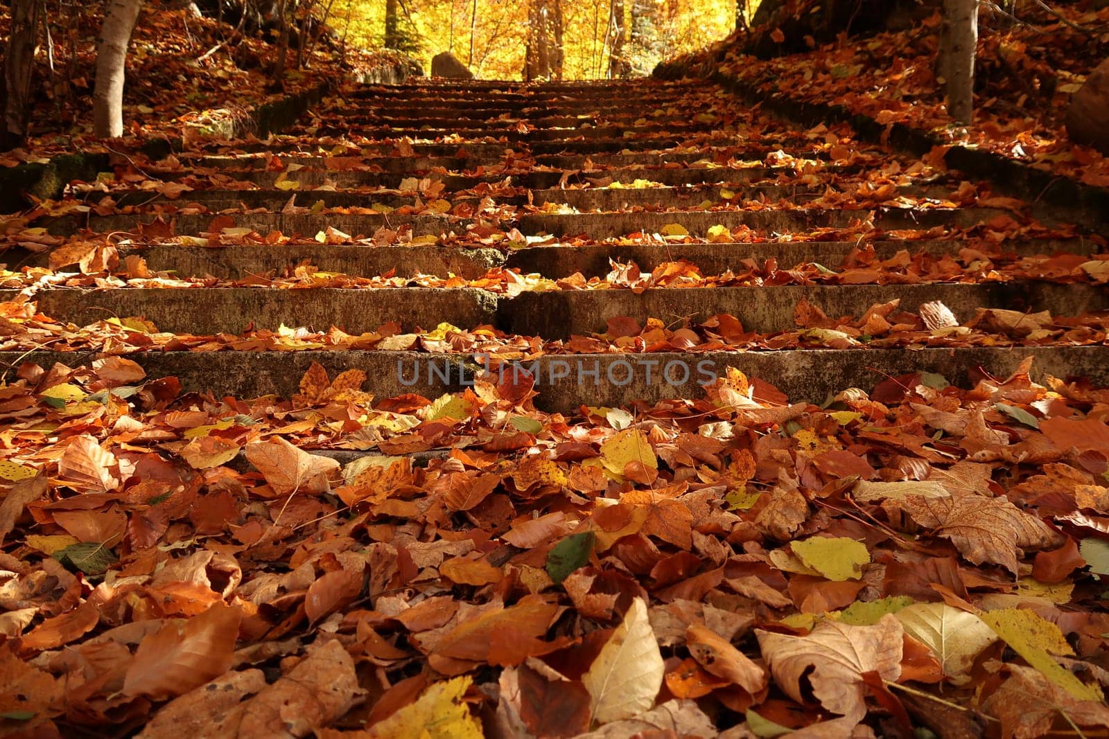 Stairway in the park around Rila Monastery, completely covered with leaves in autumn, Bulgaria 2021