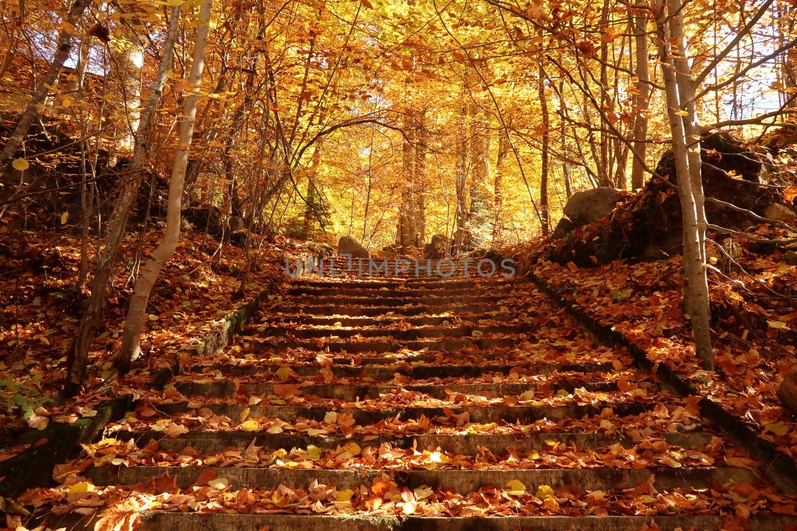 Picturesque view onto stairs in the woods of Rila Monastery in autumn, Bulgaria 2021