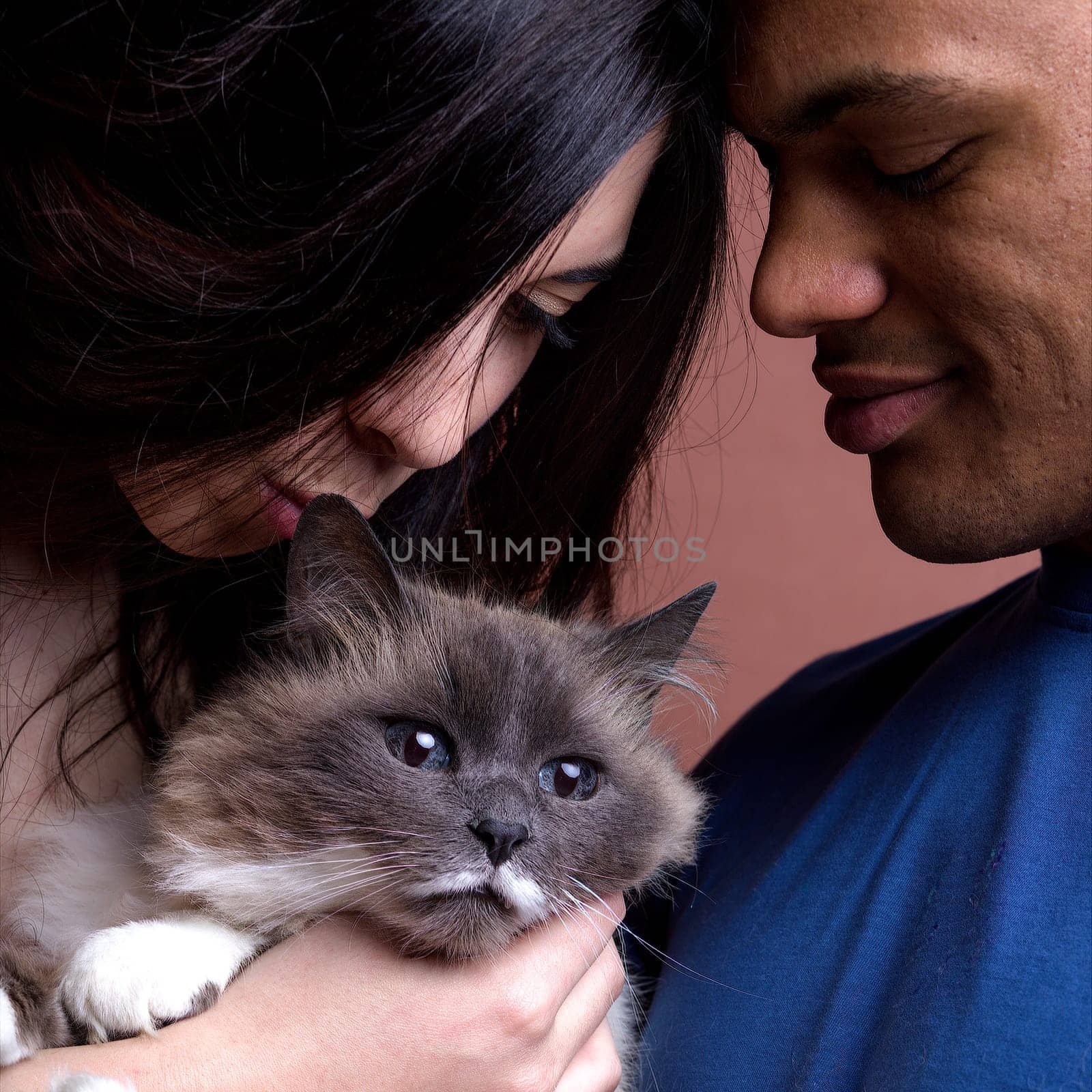 portrait of an interracial couple with their beloved cat