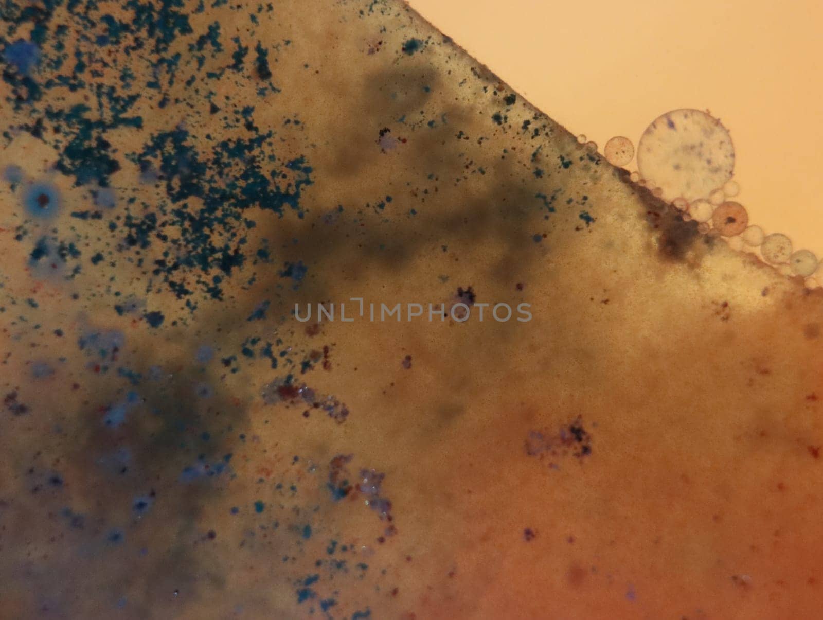 abstract background fantasy illusion rarity imagination virus bacteria sensation