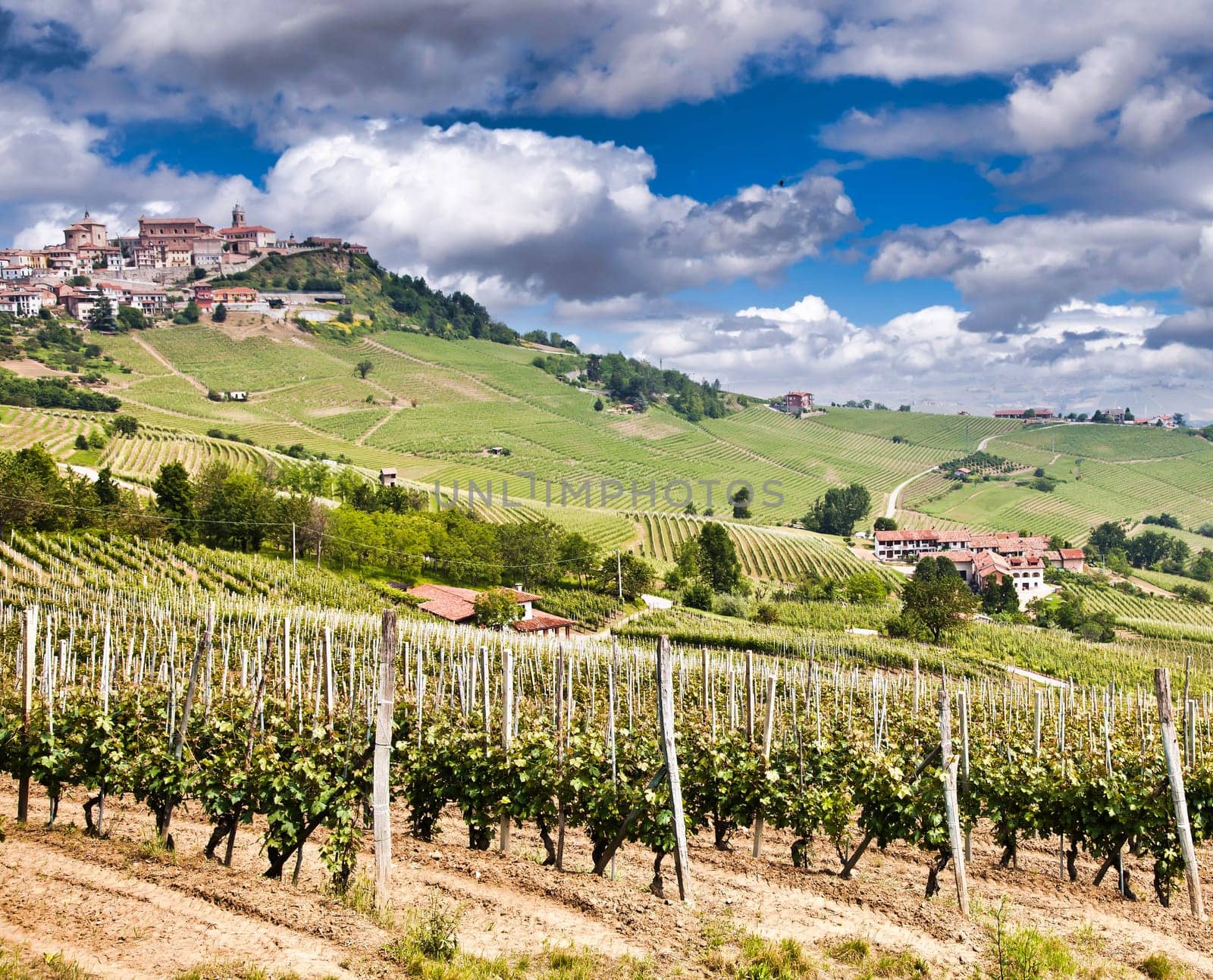 La Morra. Traditional village close to Barolo and Alba, in Piedmont Region, Italy.
