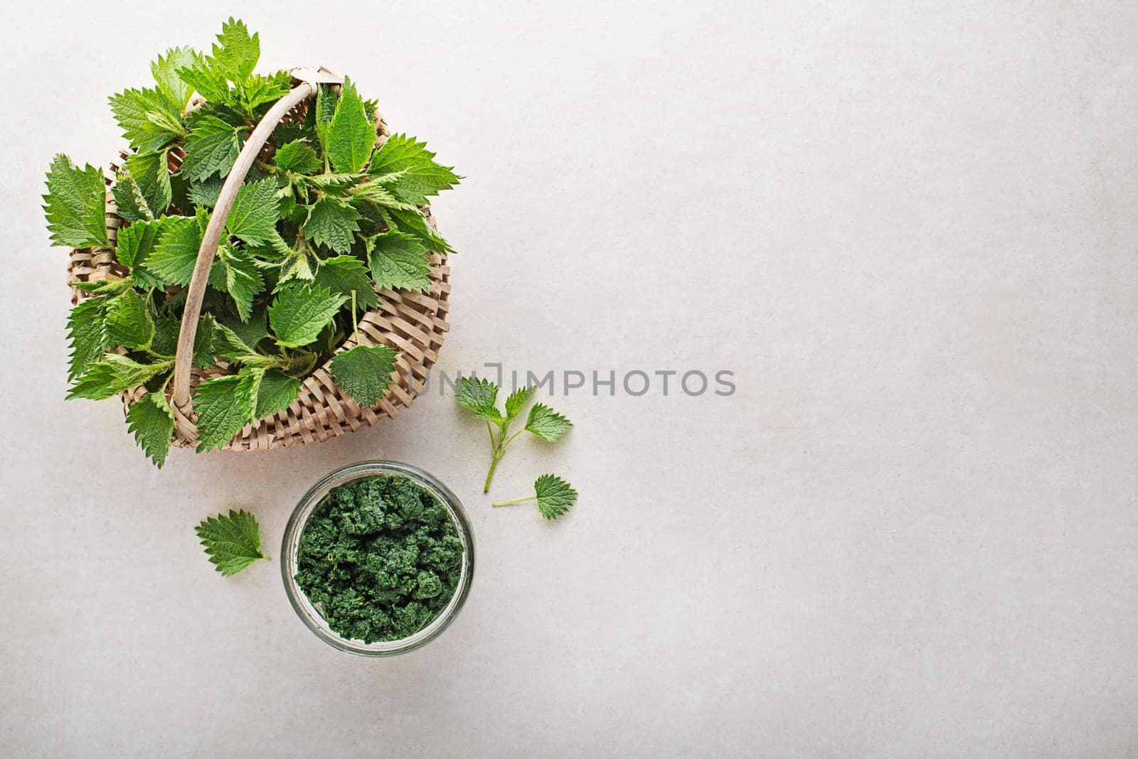 Nettle pesto for cooking healthy meal on grey background. Spring healthy food
