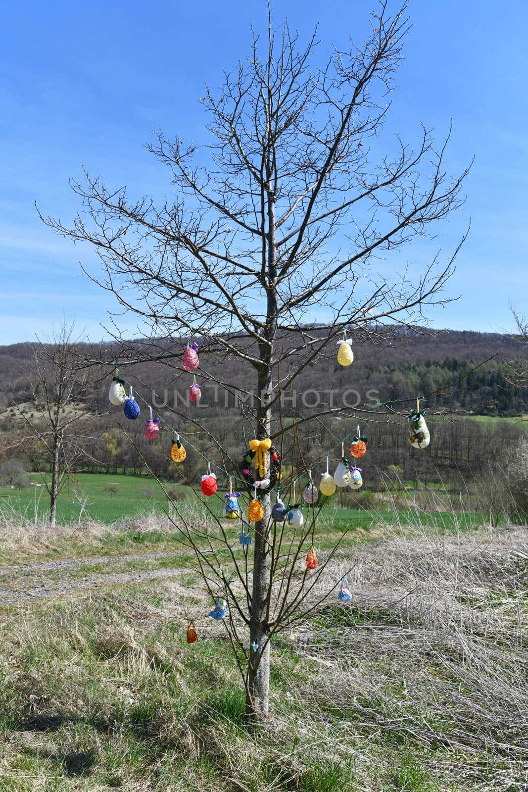 Rural woman decorate an Easter tree
