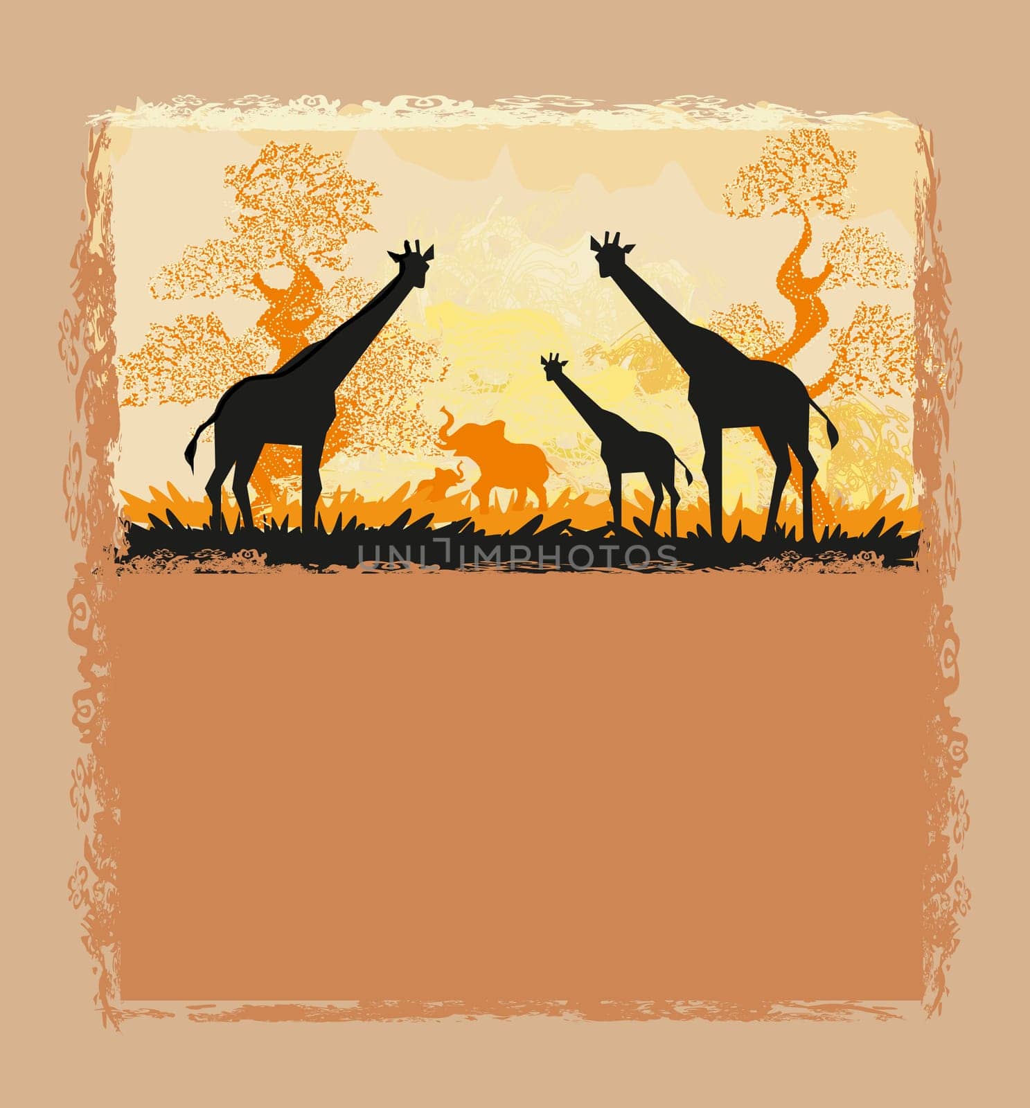African savannah card