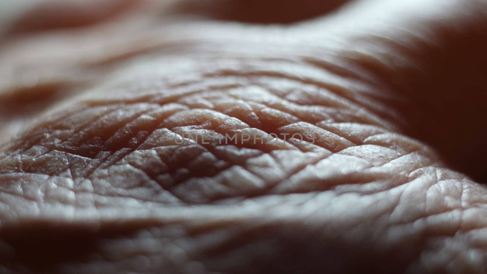 Close up of human skin