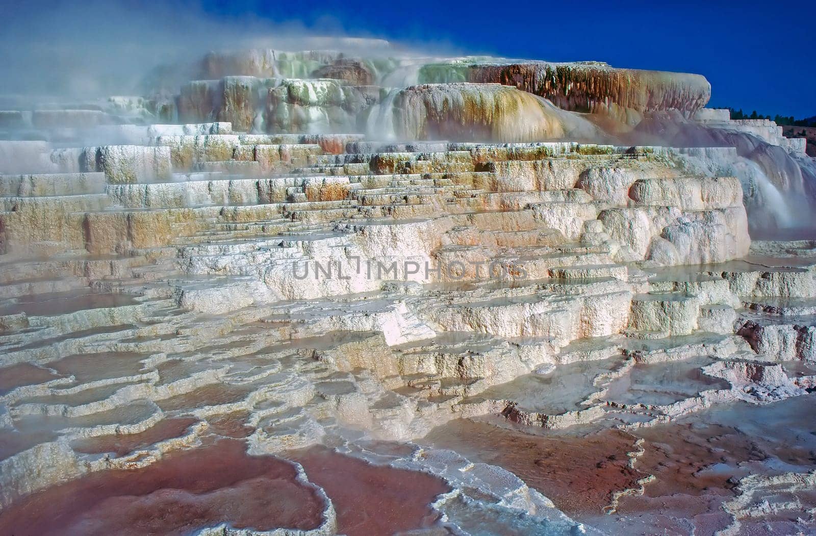 Minerva Terrace in Yellowstone National Park, Wyoming