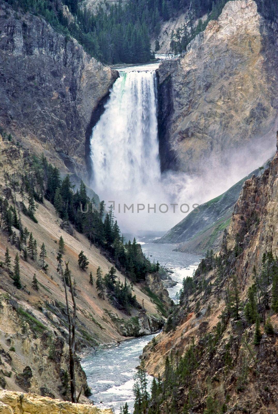 Lower Falls in Yellowstone National Park, Wyoming