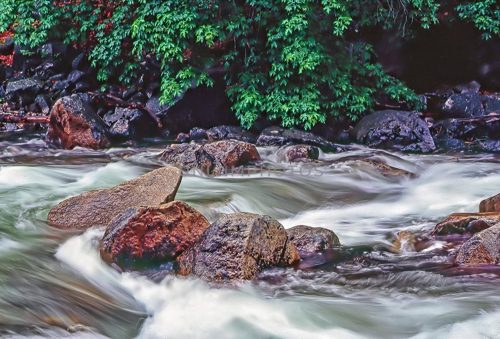 Mountain River in Yosemite National Park