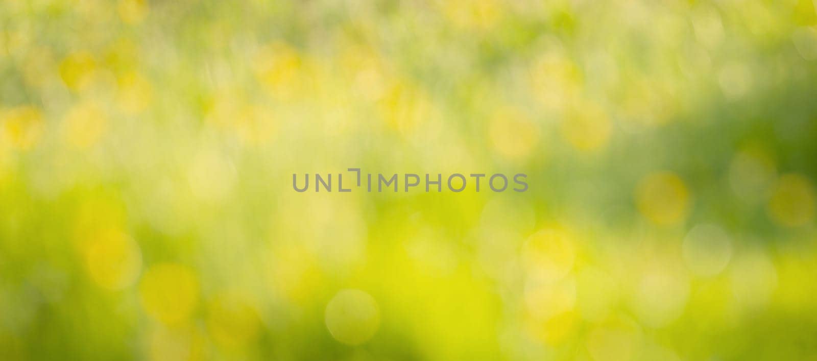 Soft blurred yellow and green colored background, spring and summer season, pastel colors, defocused abstract texture, greeting card