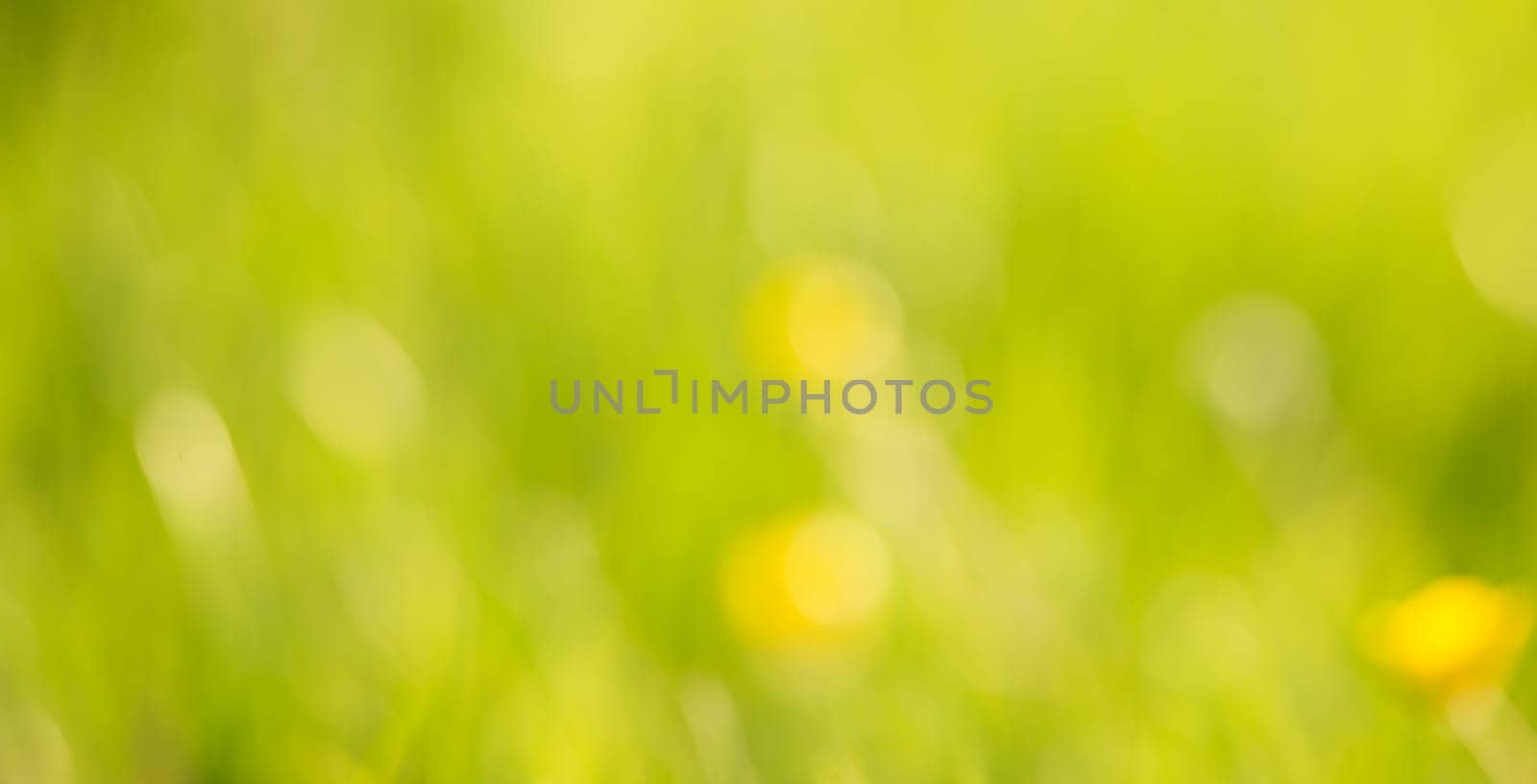 Soft blurred yellow and green colored background, spring and summer season, pastel colors, defocused abstract texture, greeting card