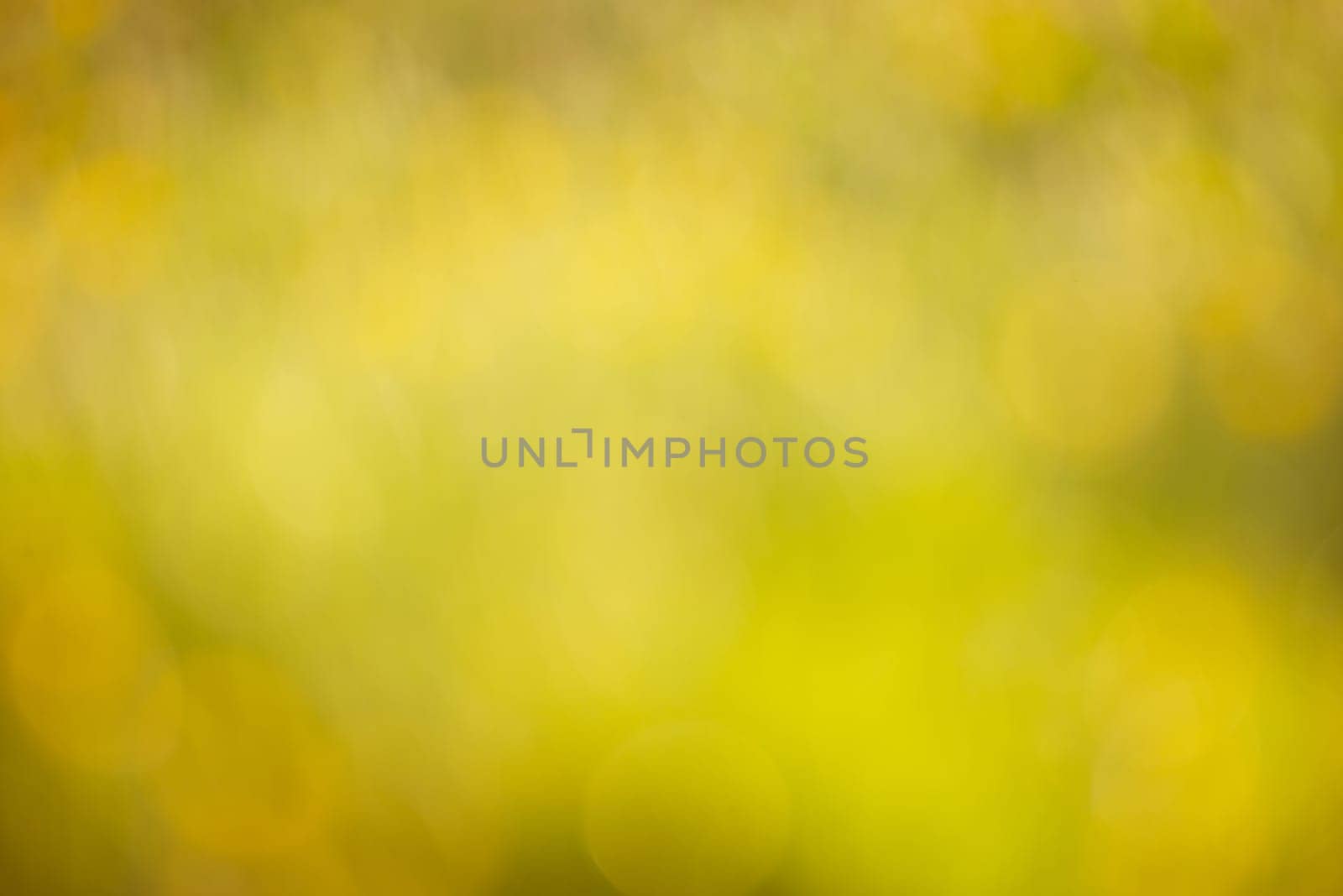 Soft blurred yellow and green colored background, spring and summer season, pastel colors, defocused abstract texture, greeting card