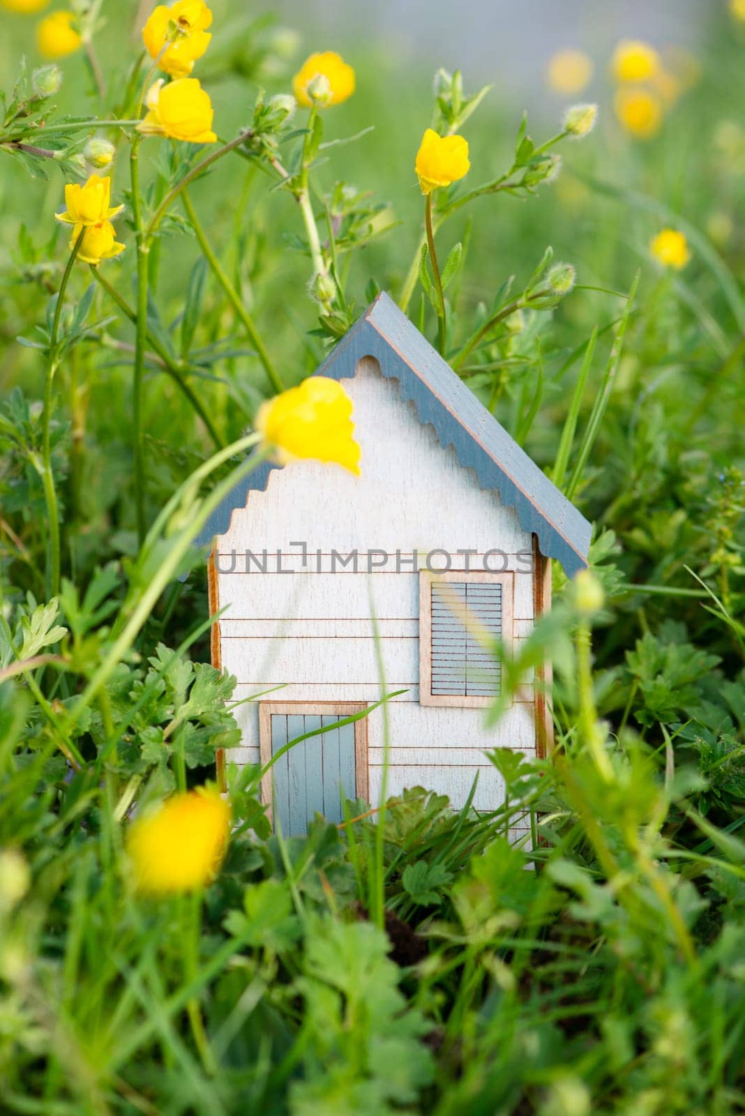 Wooden house in a meadow, buying or renting a housein nature, real estate concept, booking home for vacation, copy space for text