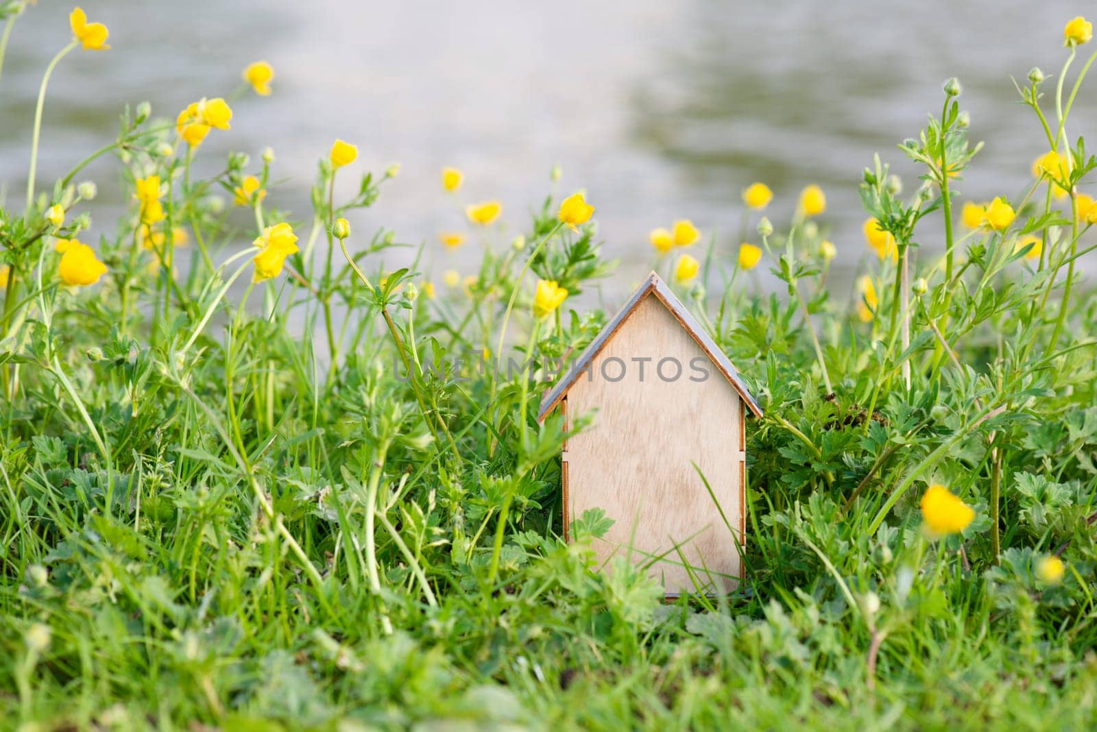 Wooden house in a meadow, buying or renting a housein nature, real estate concept, booking home for vacation, copy space for text