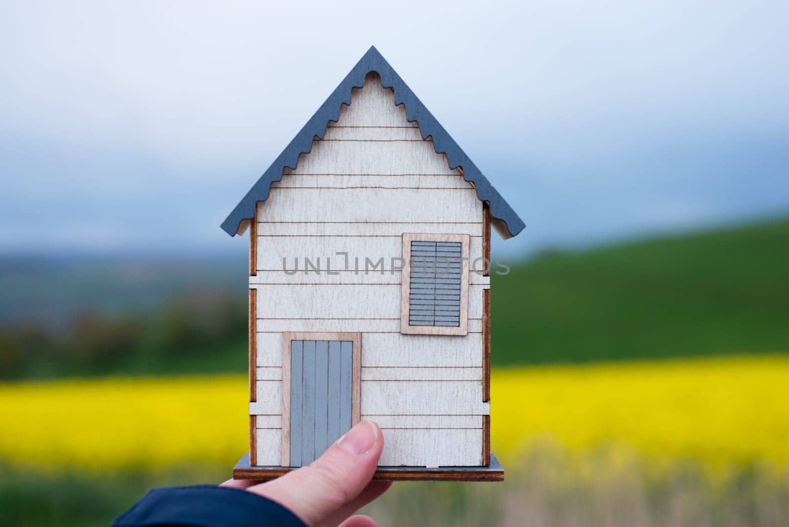 Wooden house in a meadow, buying or renting a house in nature, real estate concept, booking home for vacation, copy space for text