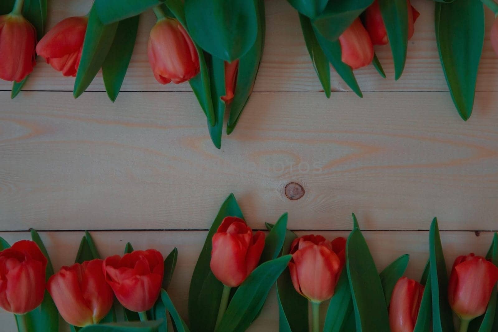 Pink tulips with green leaves lie in a row at the bottom and top on a wooden background with a place for text. High quality photo