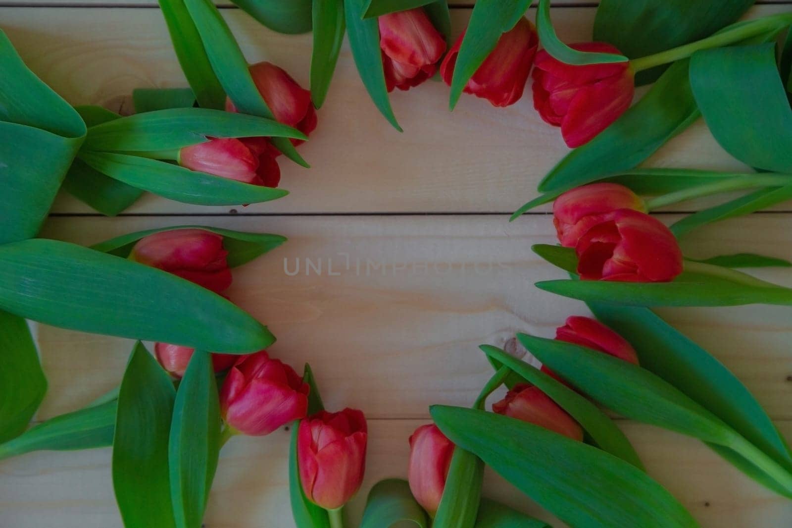 Pink tulips with green leaves lie in a circle with a free place in the center on a wooden background. High quality photo