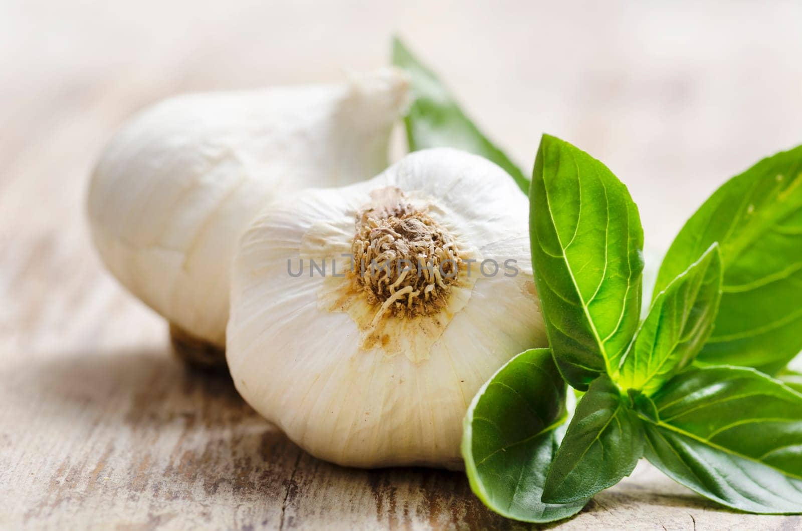 Garlic and basil on wooden table.