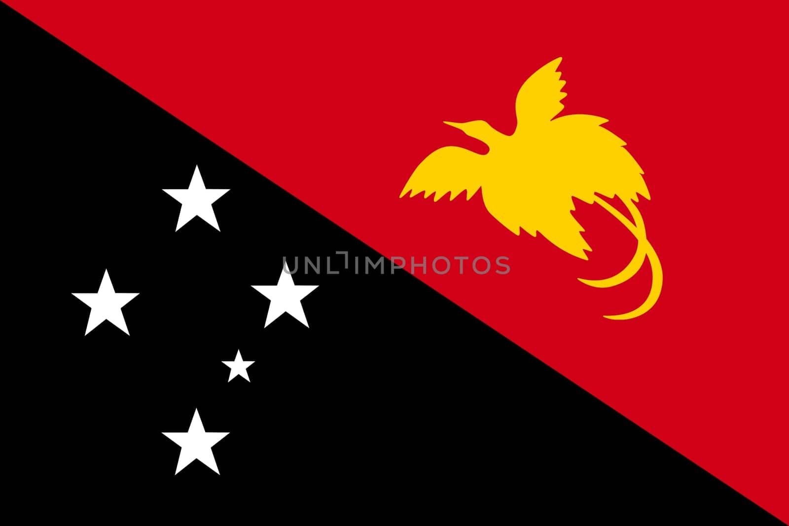 A Papua new guinea flag background illustration Black white red yellow Southern Cross raggiana bird of paradise