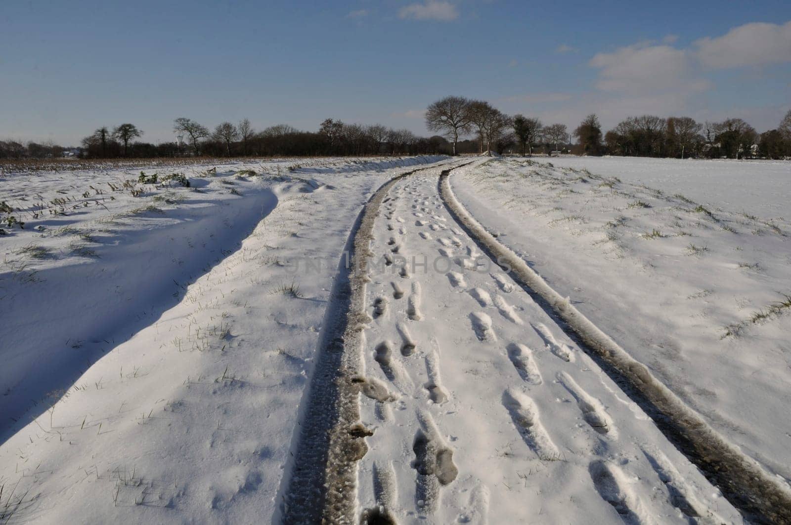 Path under the snow in Brittany