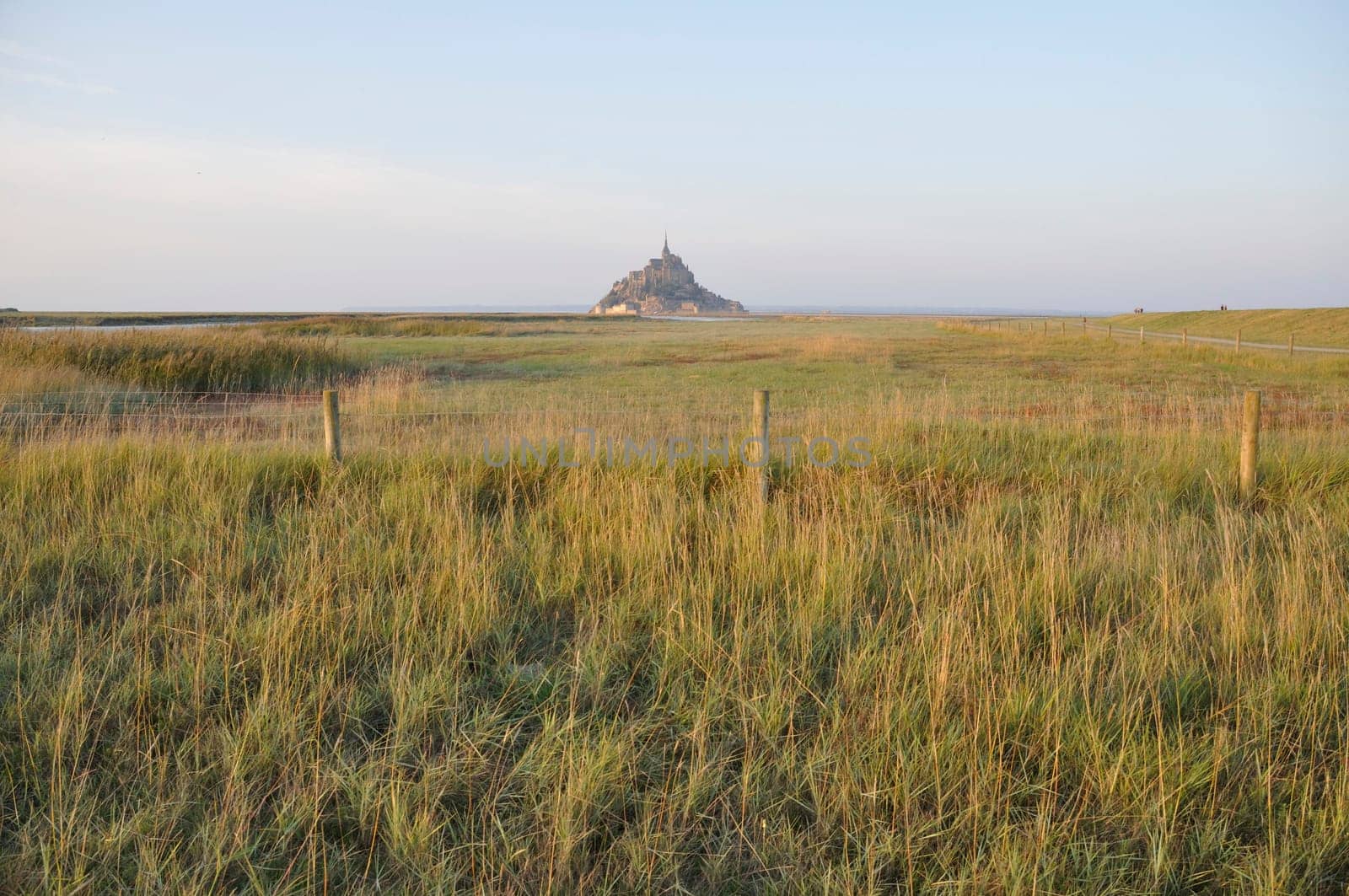 Mont Saint Michel and salt marshes