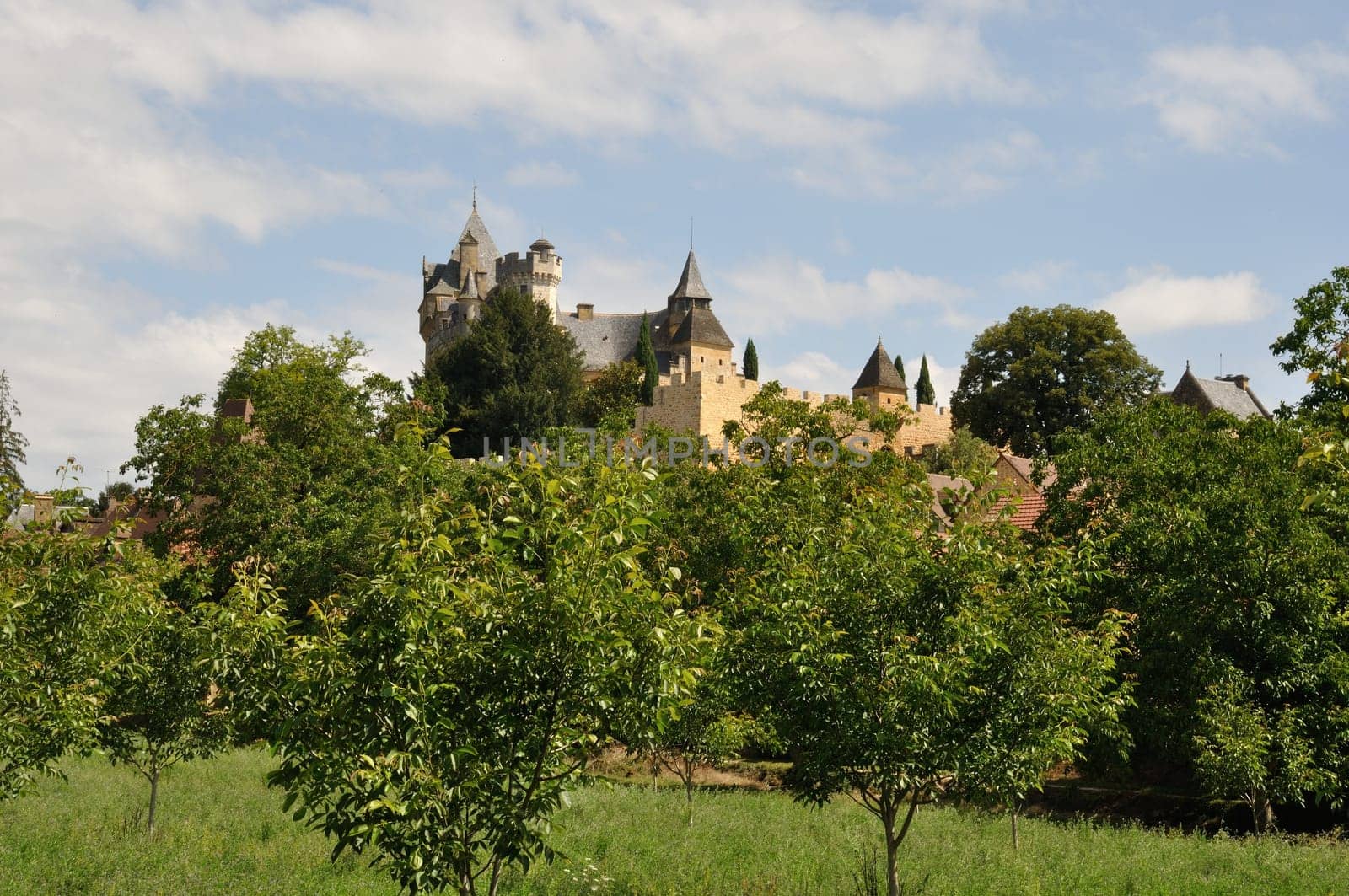 Village of Montfort in Périgord