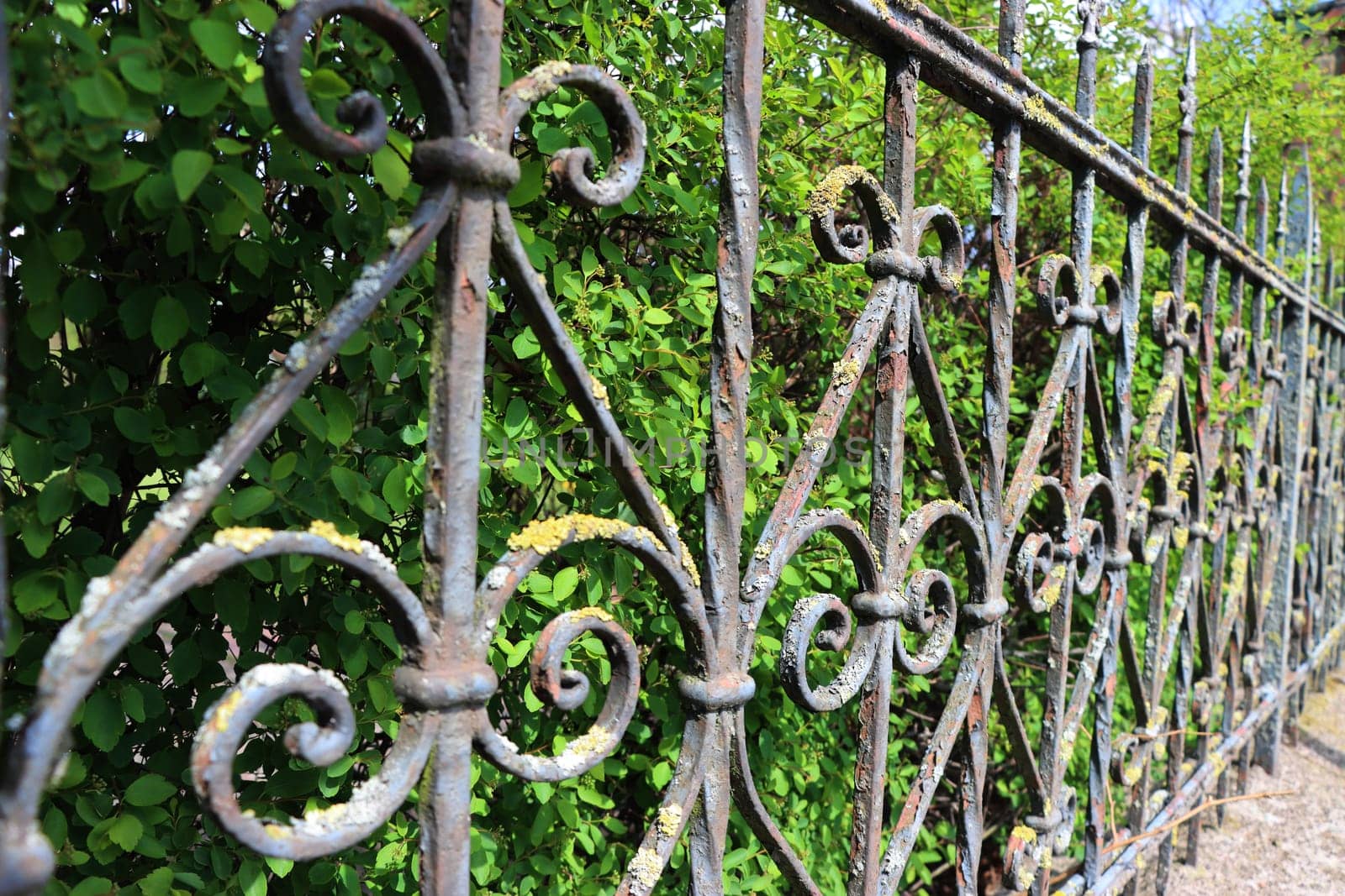 Flechten und Rost auf einem alten schmiedeeisernen Gartenzaun, Niedersachesen, Deutschland, Oetzen